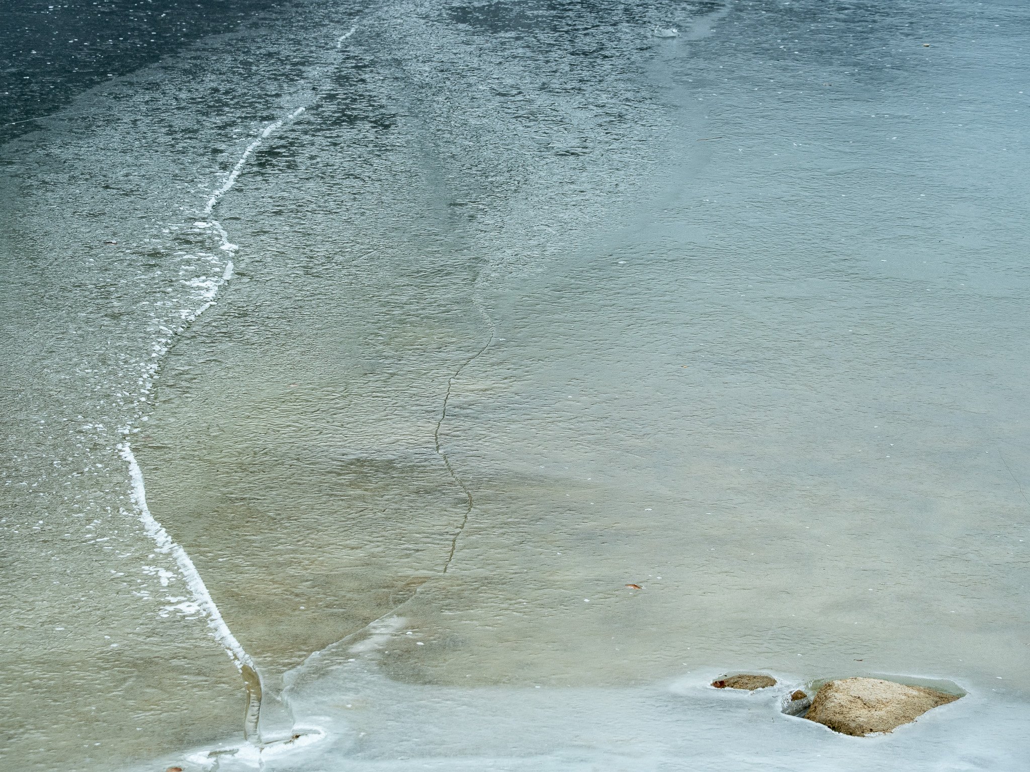 P1112945-2.jpg