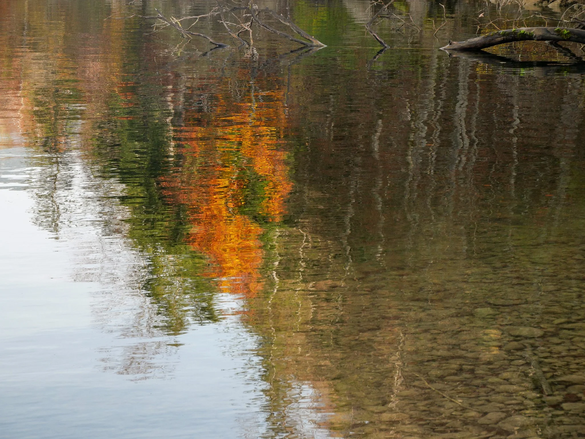 P1055731.jpg