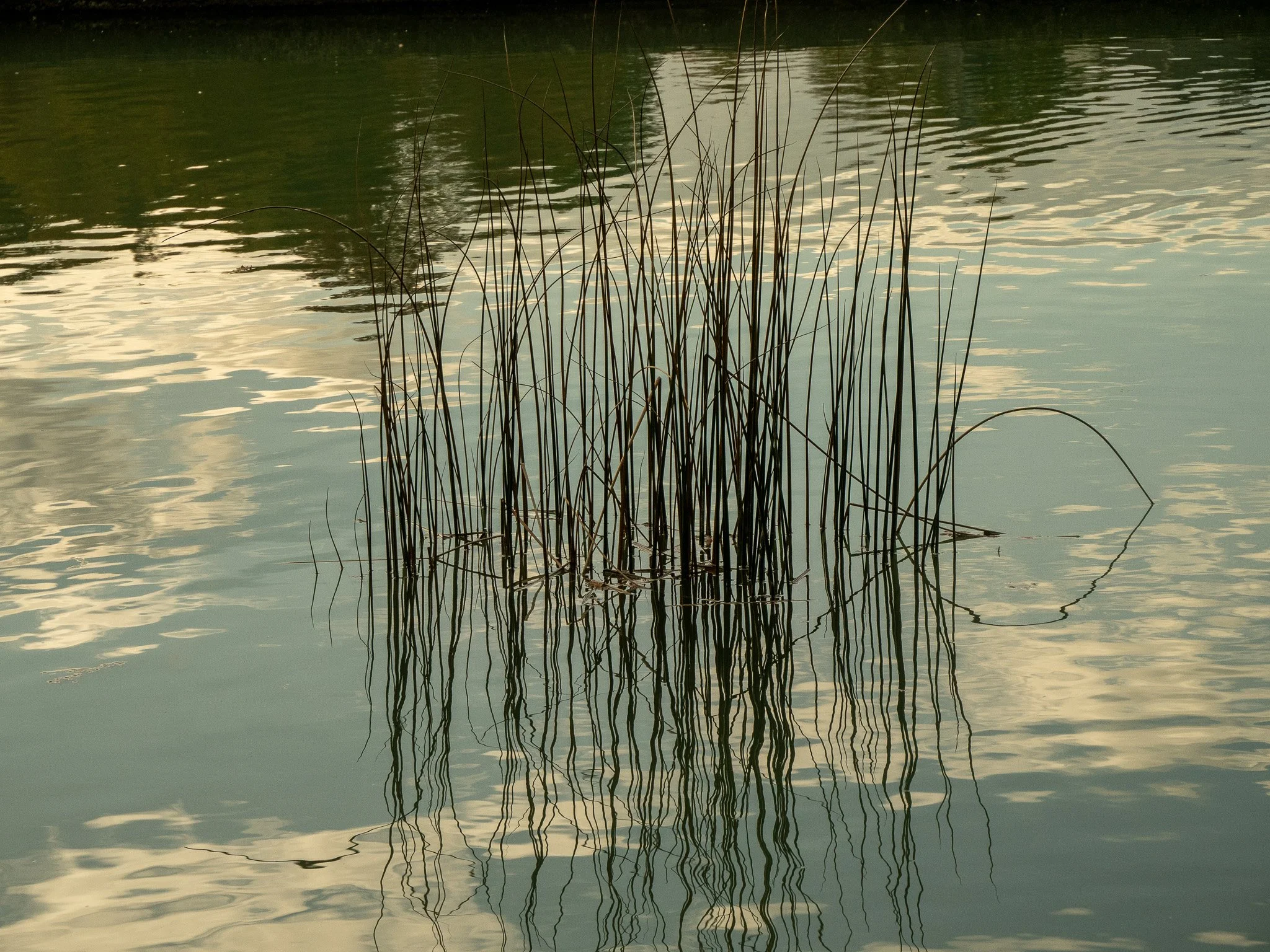 P1045245.jpg