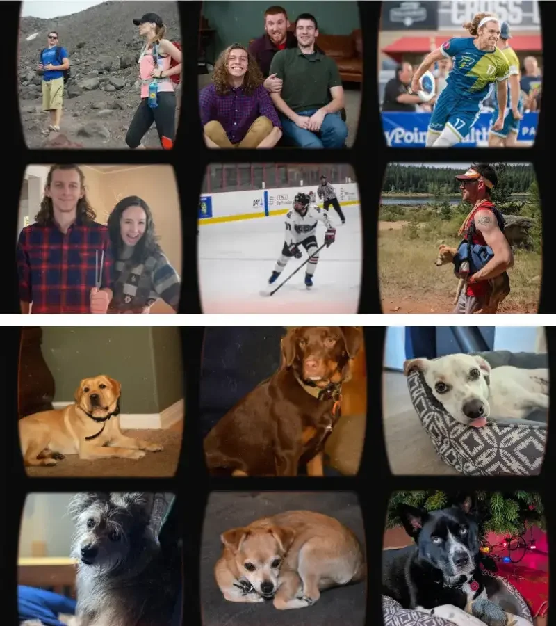 A collage of people enjoying outdoor activities, indoor gatherings, sports, and various pet dogs.