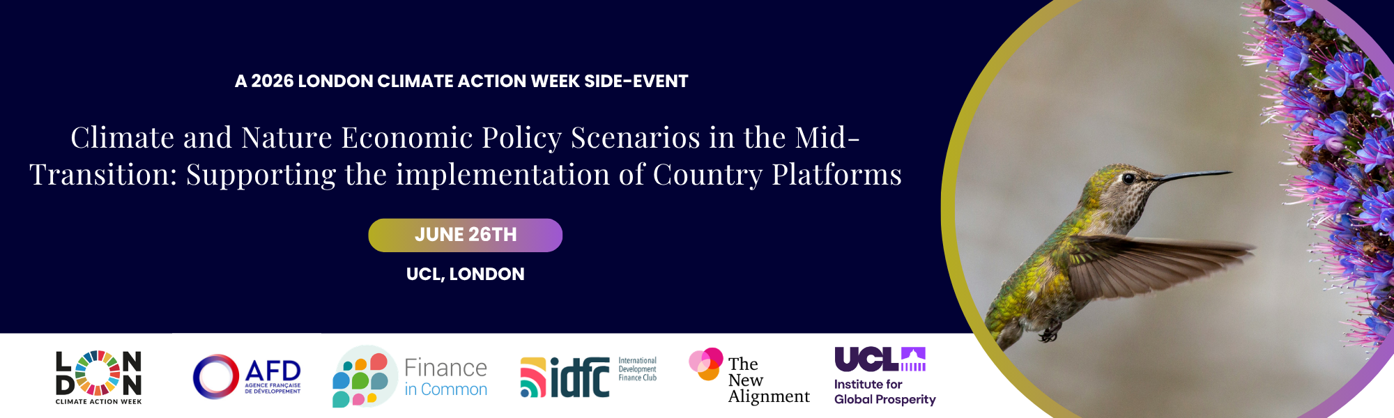 Climate and Nature Economic Policy Scenarios in the Mid-Transition; Supporting the implementation of Country Platforms