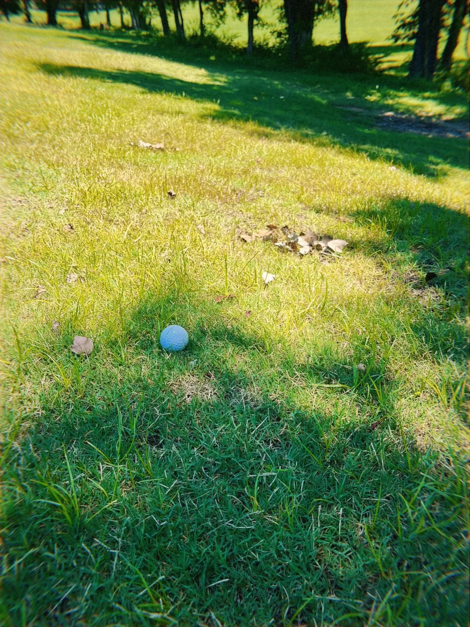 Associate Producer Package