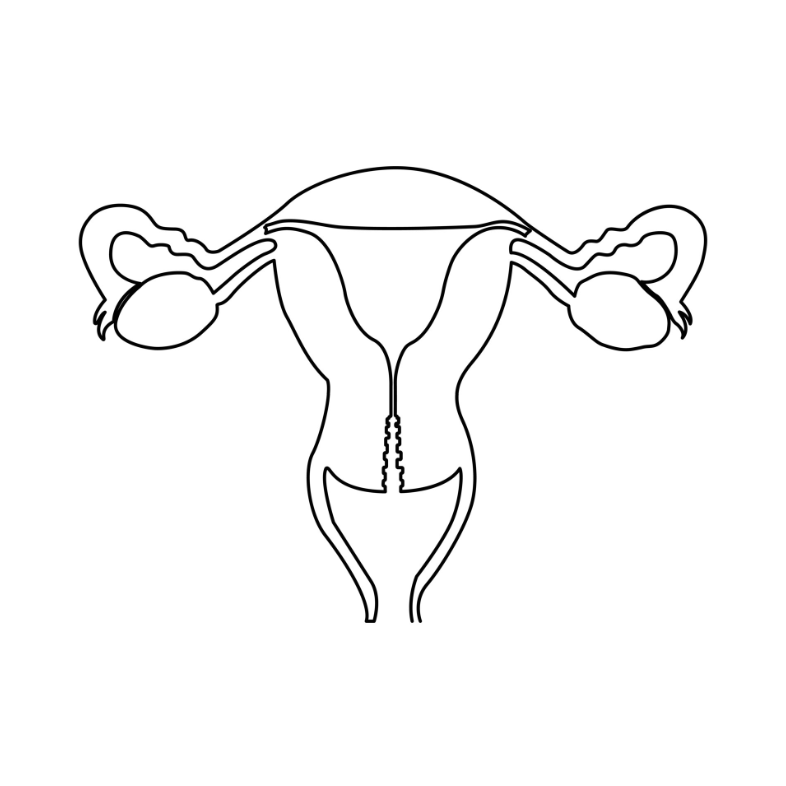 Signs of an Abnormal Menstrual Cycle | Hormone Imbalance &amp; Female Health