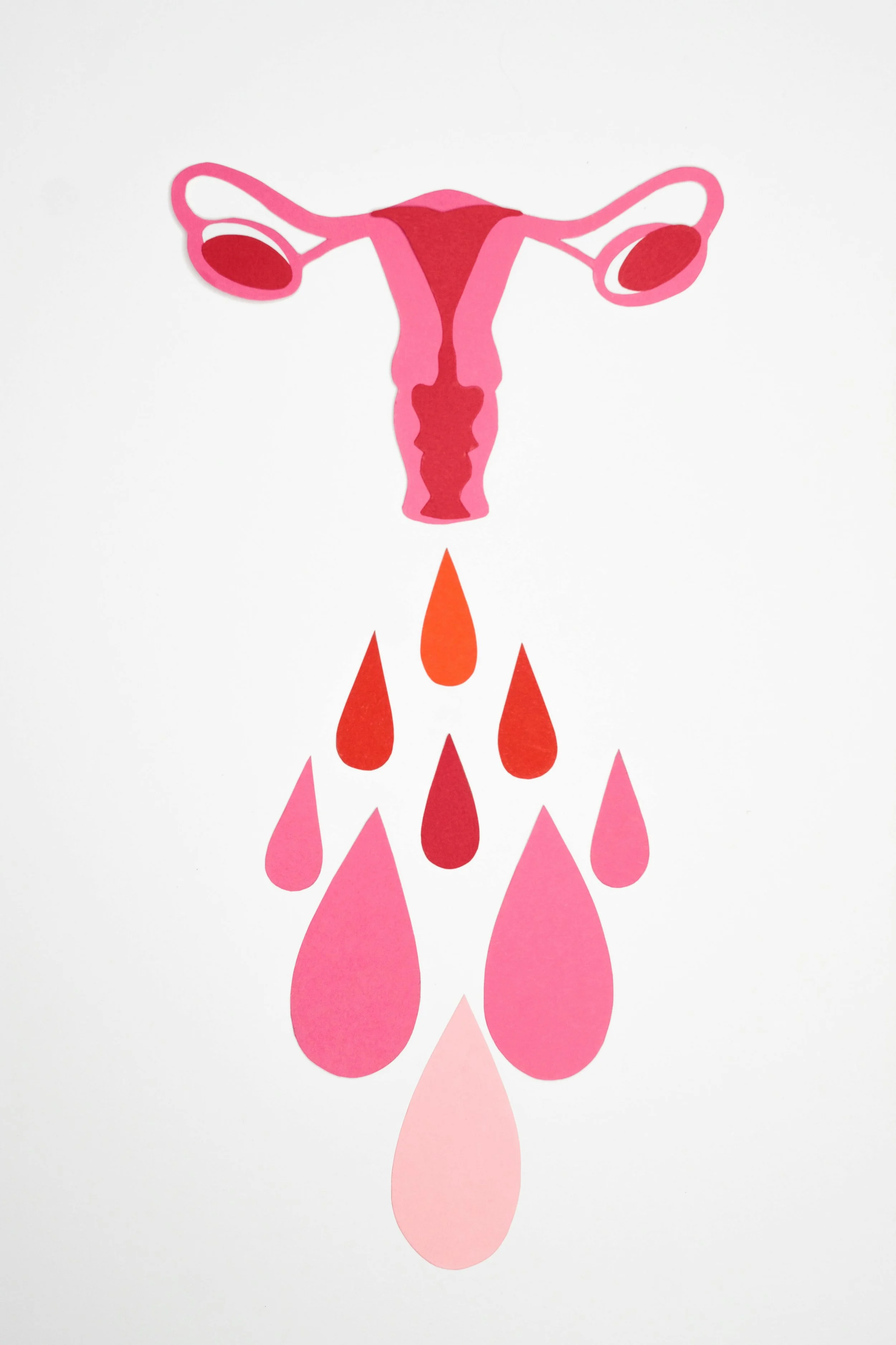 What A Healthy Female Cycle is Supposed to Look Like. 