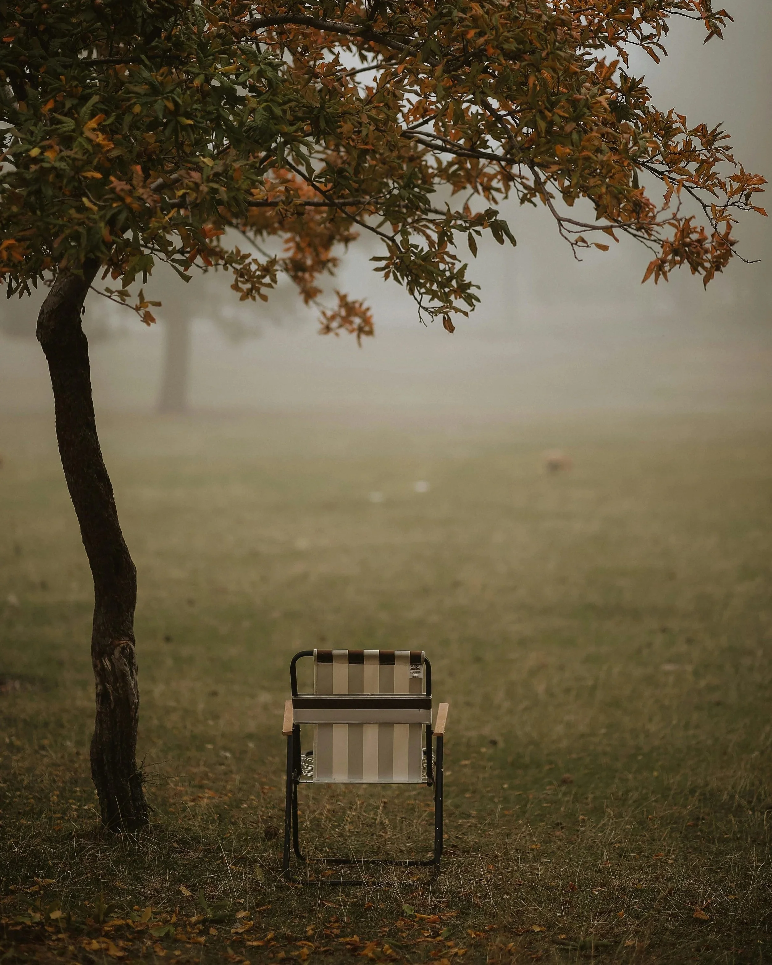 Comprehensive Initial Consultation