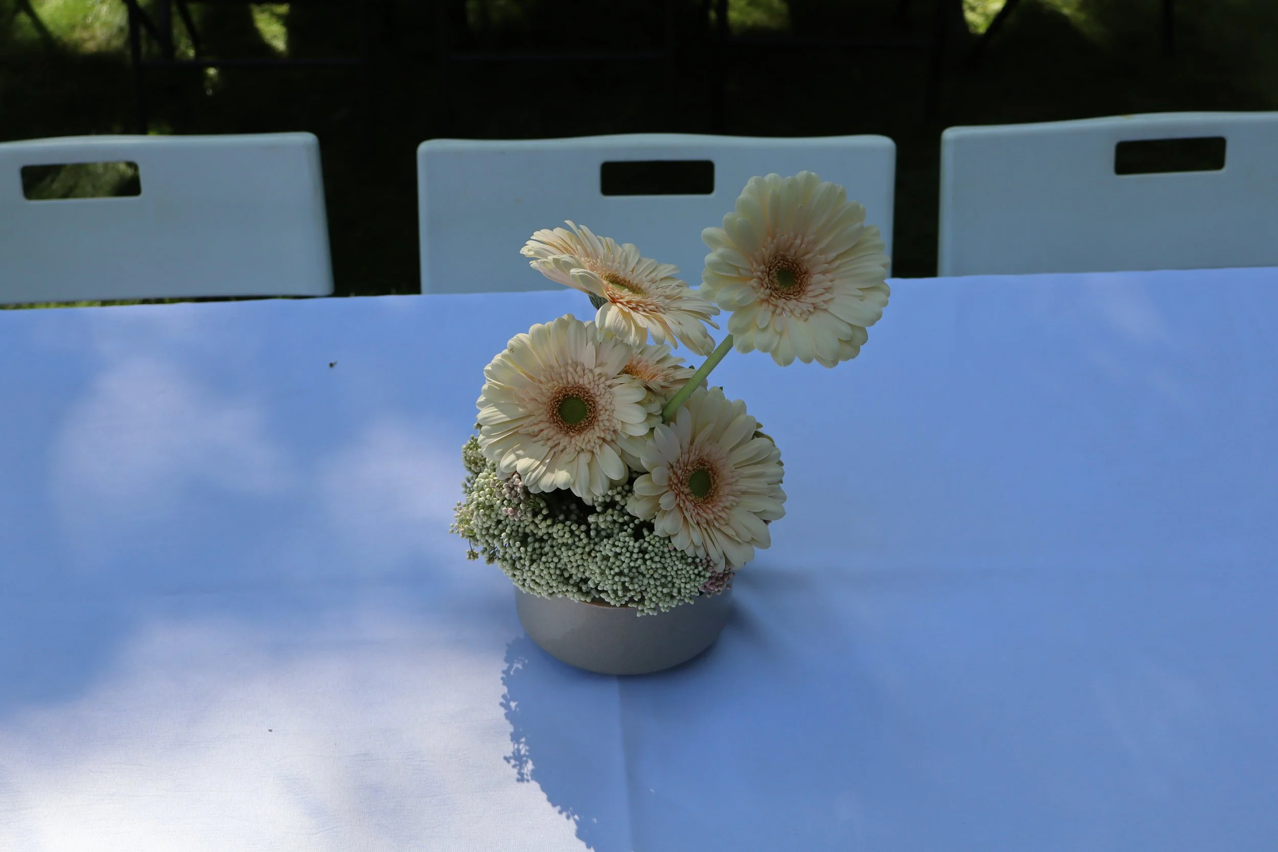 IMG_0347.JPEG