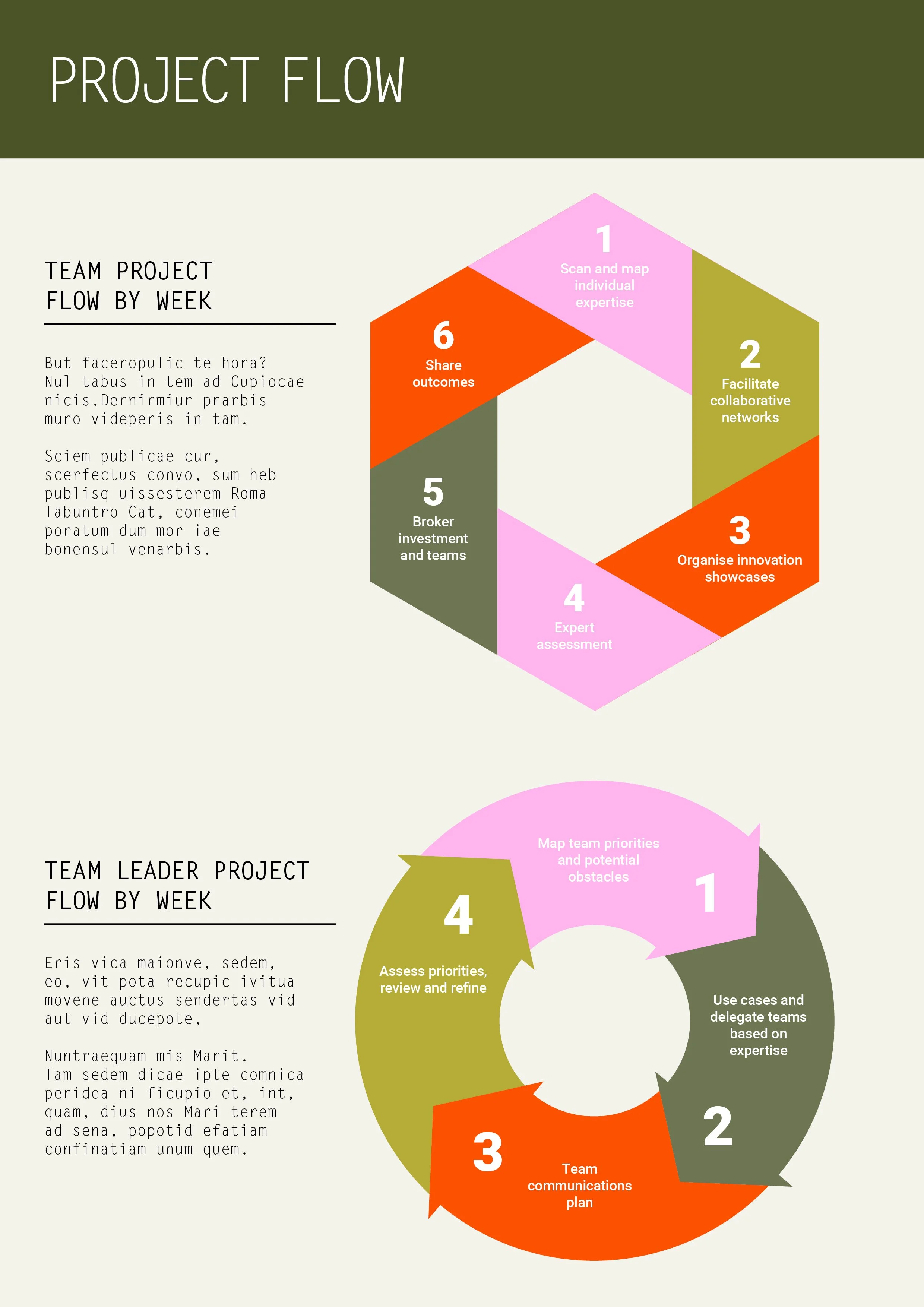 INFOGRAPHIC MOCKUP.jpg