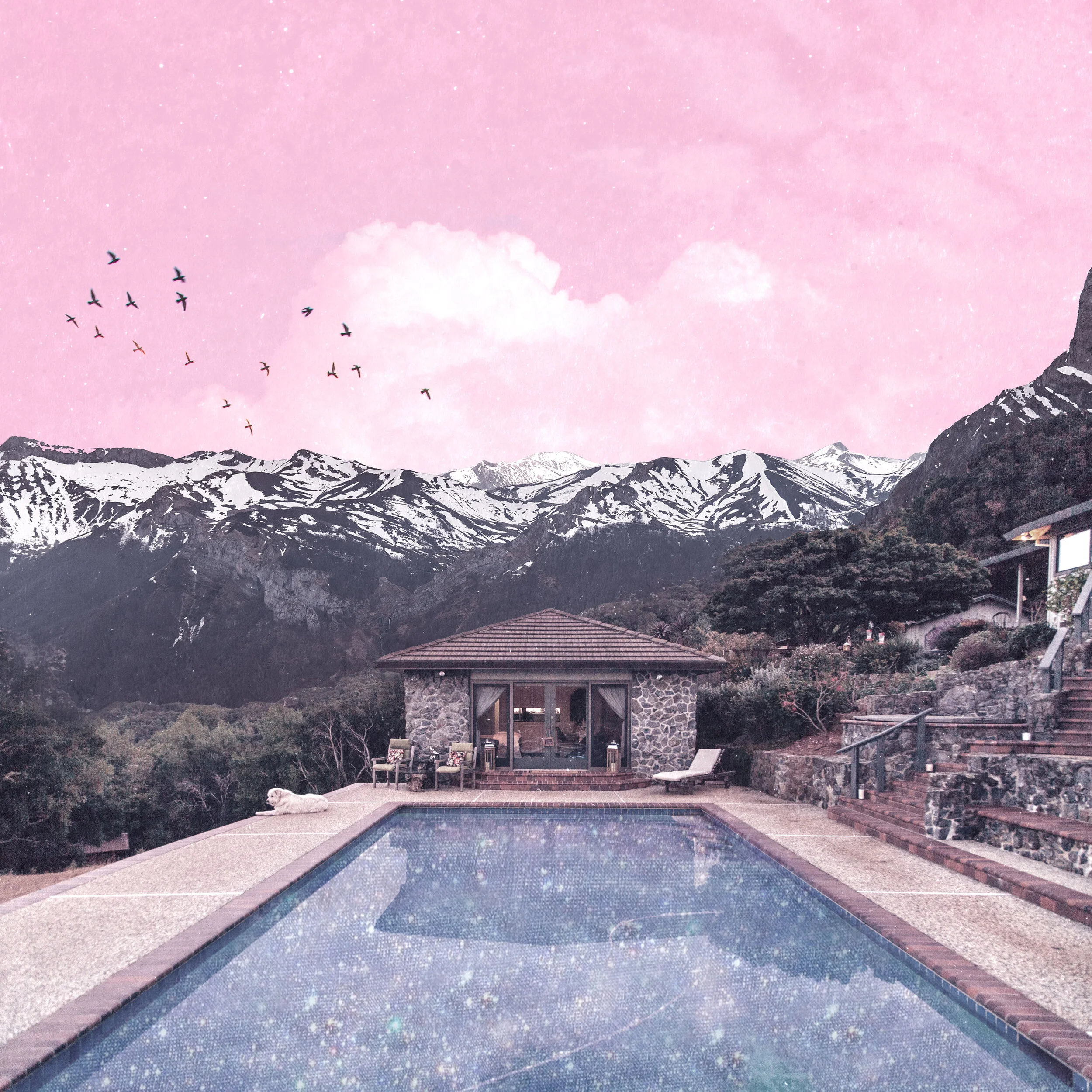 pink-poolscape.jpg