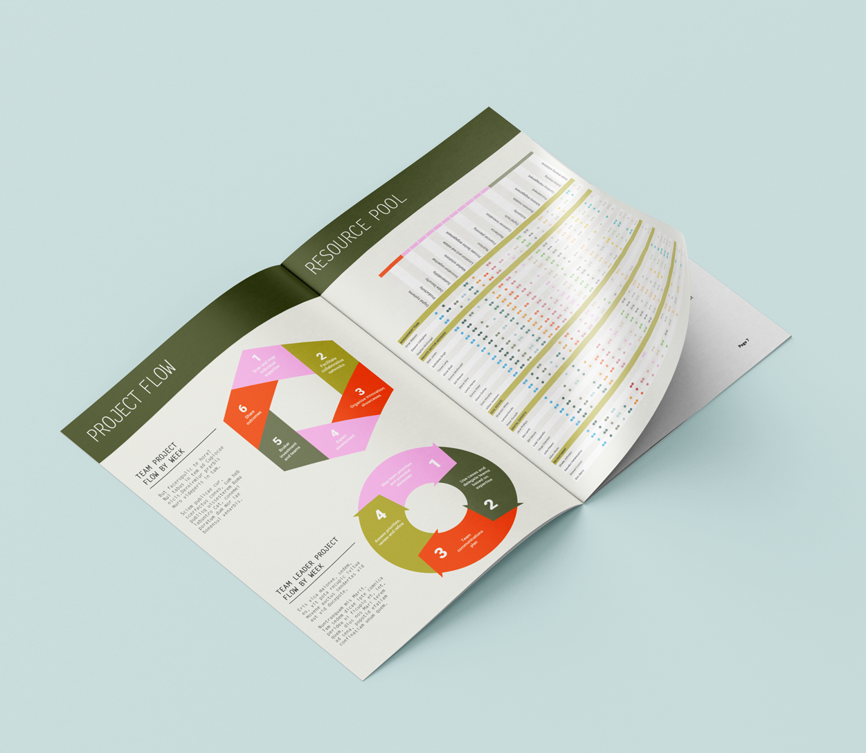 Project flow infographic.png