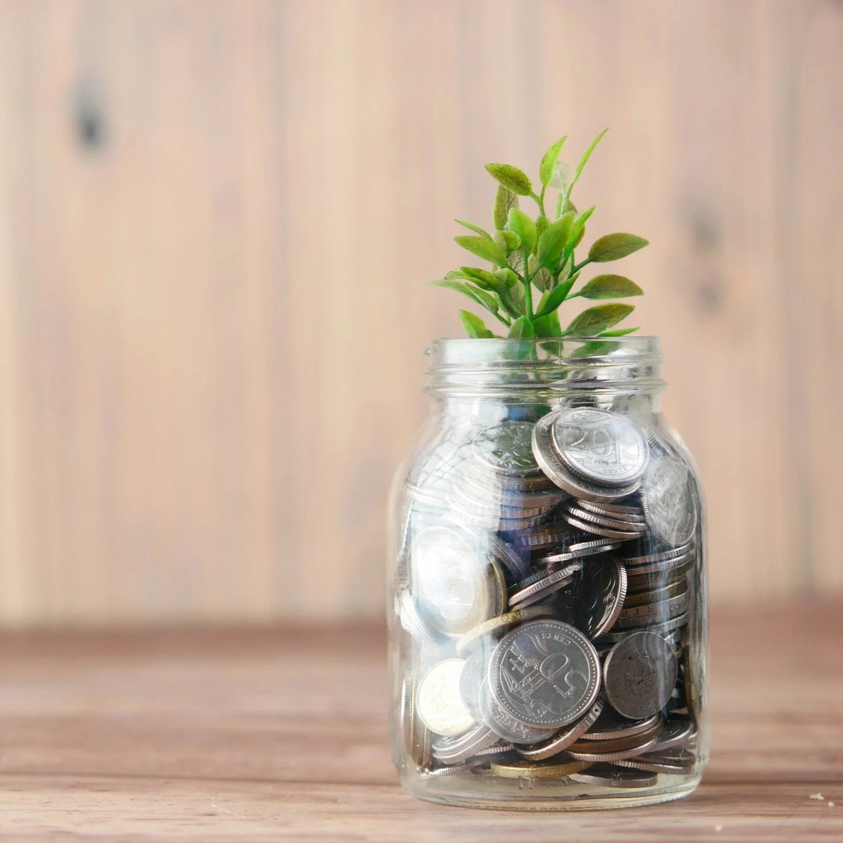 A glass jar filled with various silver coins and a small green plant growing out of the top.