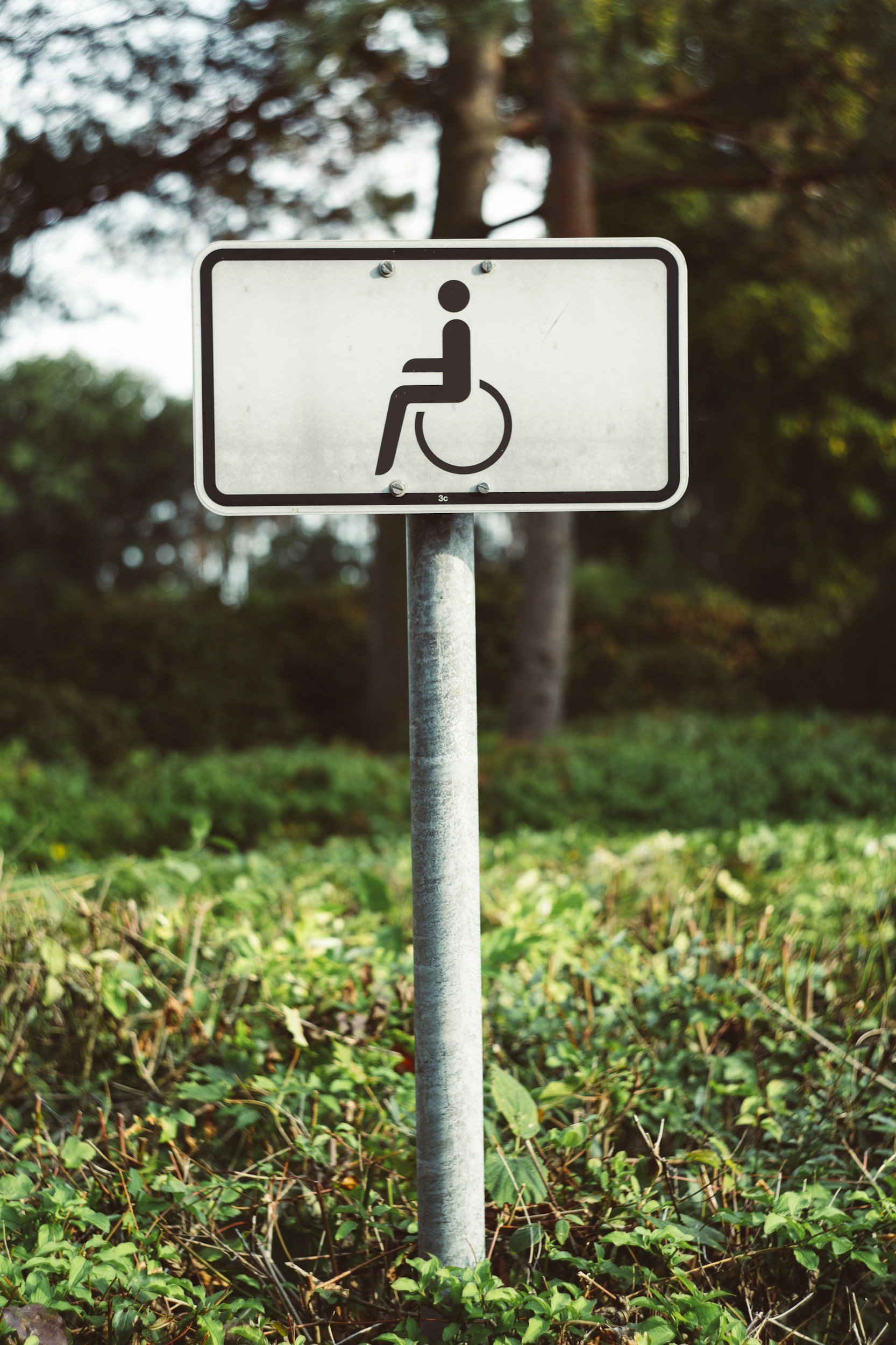 A metal signpost with a wheelchair accessibility symbol, set against a background of green foliage and trees.