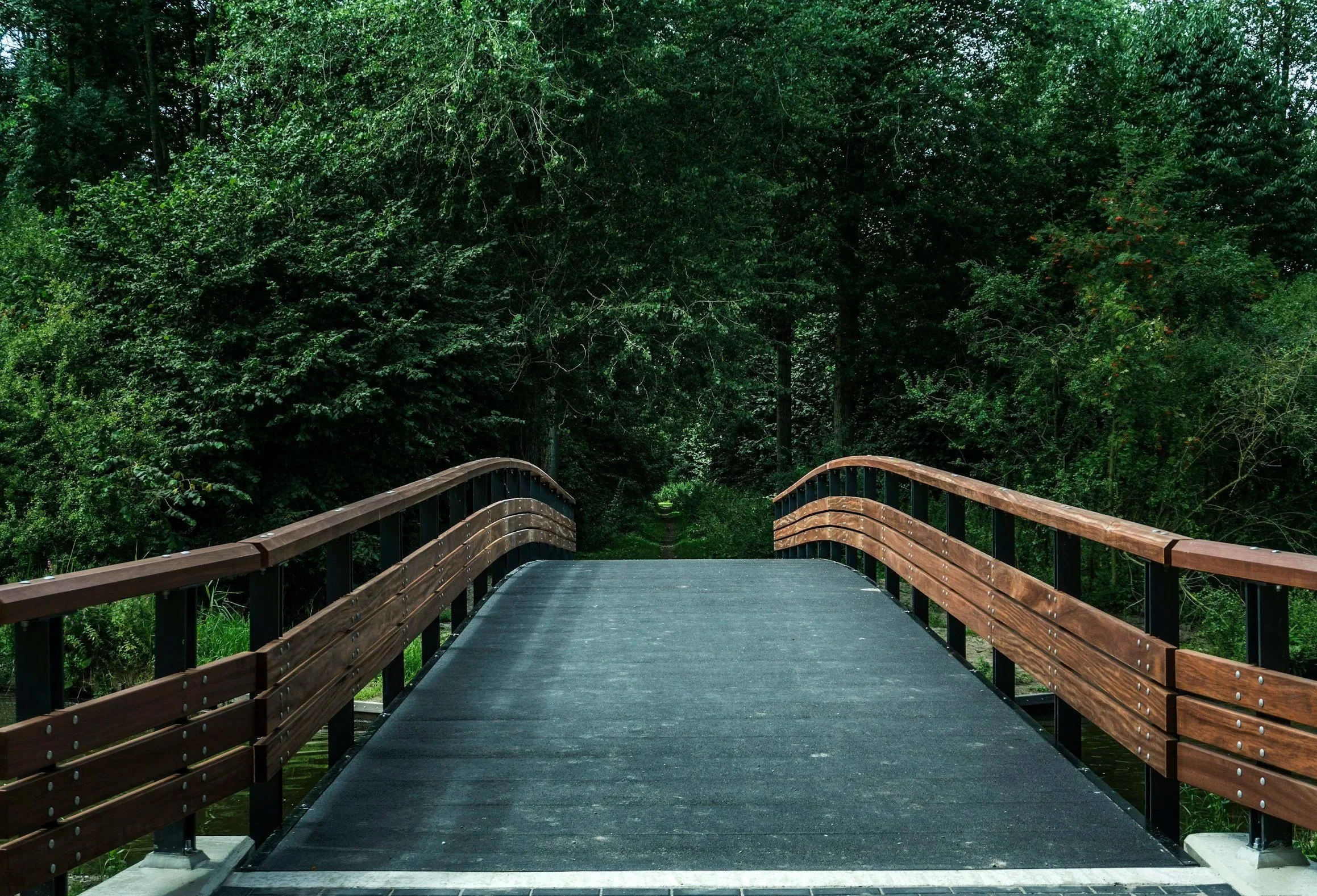 A wooden bridge with black metal railings over a green forest path surrounded by dense trees and foliage.