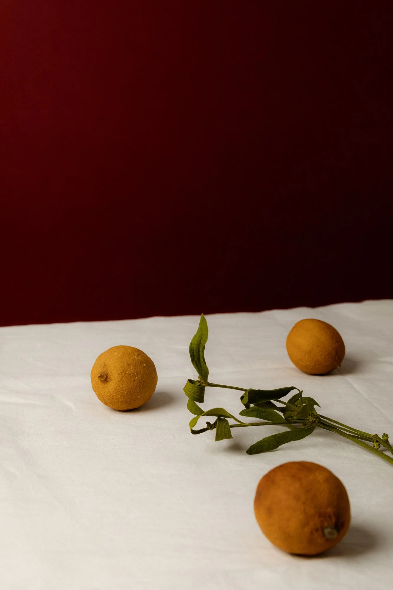 kaboompics_moody-still-life-with-vintage-elegance-surreal-objects-and-organic-forms-38494.jpg