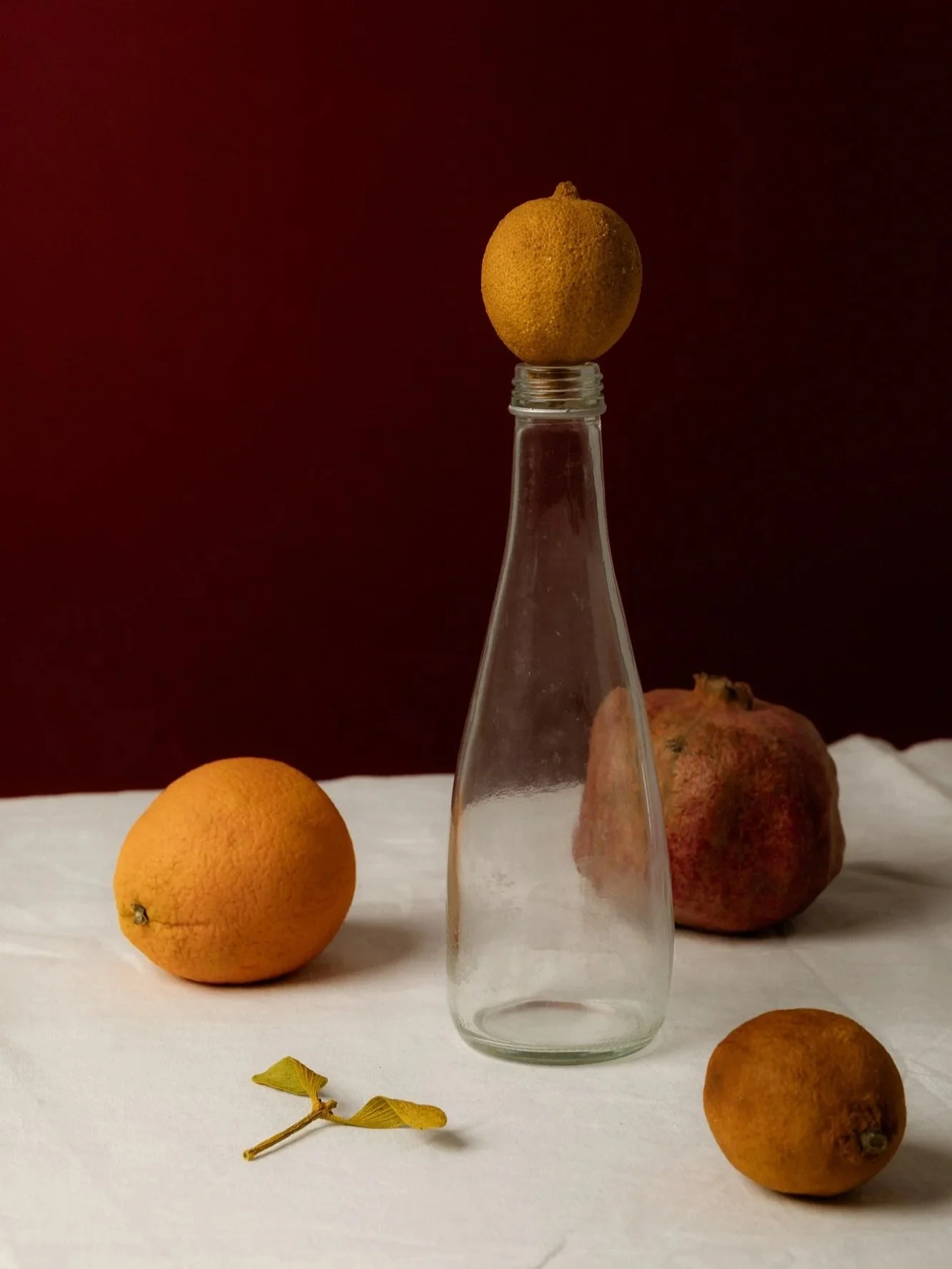 kaboompics_moody-still-life-with-vintage-elegance-surreal-objects-and-organic-forms-38492.jpg