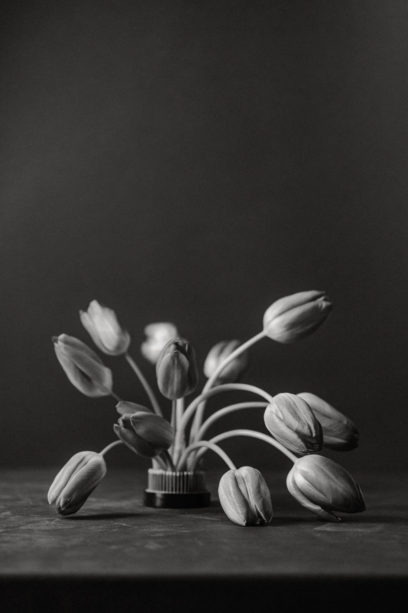 kaboompics_artistic-flower-arrangements-red-and-burgundy-floral-still-life-38894.jpg