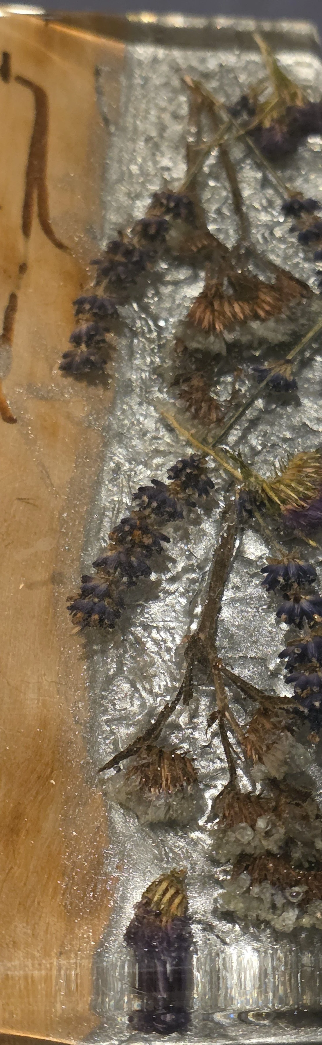 20260122_103652.jpg