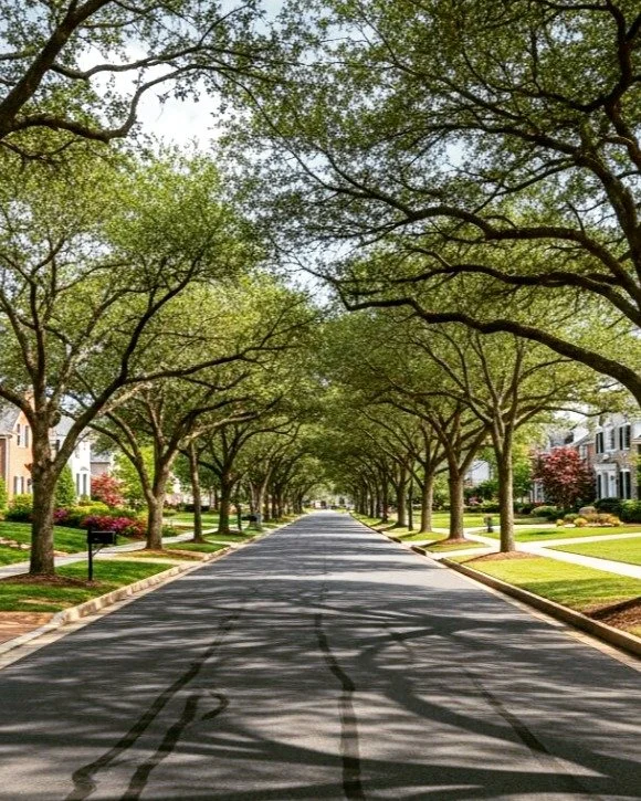 A tree-lined street has a kind of quiet romance to it. The filtered light, the mature landscape, the feeling of calm and permanence, these are the details that make a neighborhood feel not only beautiful, but deeply lived in and loved.

CookeResident