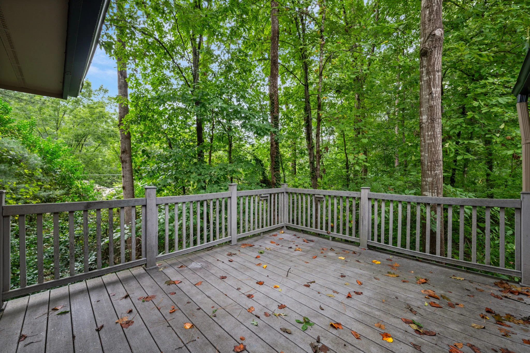 43-web-or-mls-untitled-38.jpg