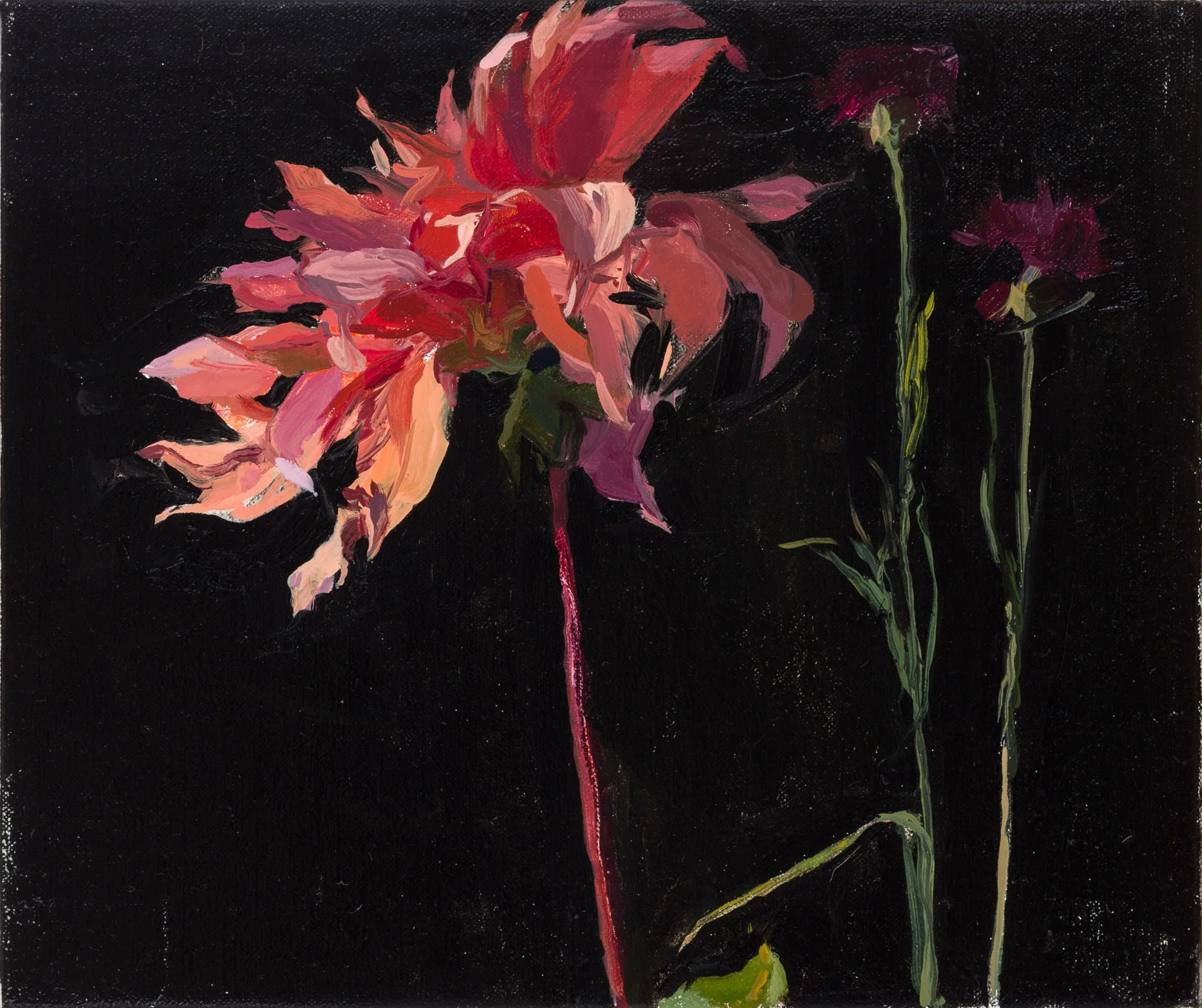 The Slender Stalk, 2023, oil on linen, 25.4 x 30.5cm