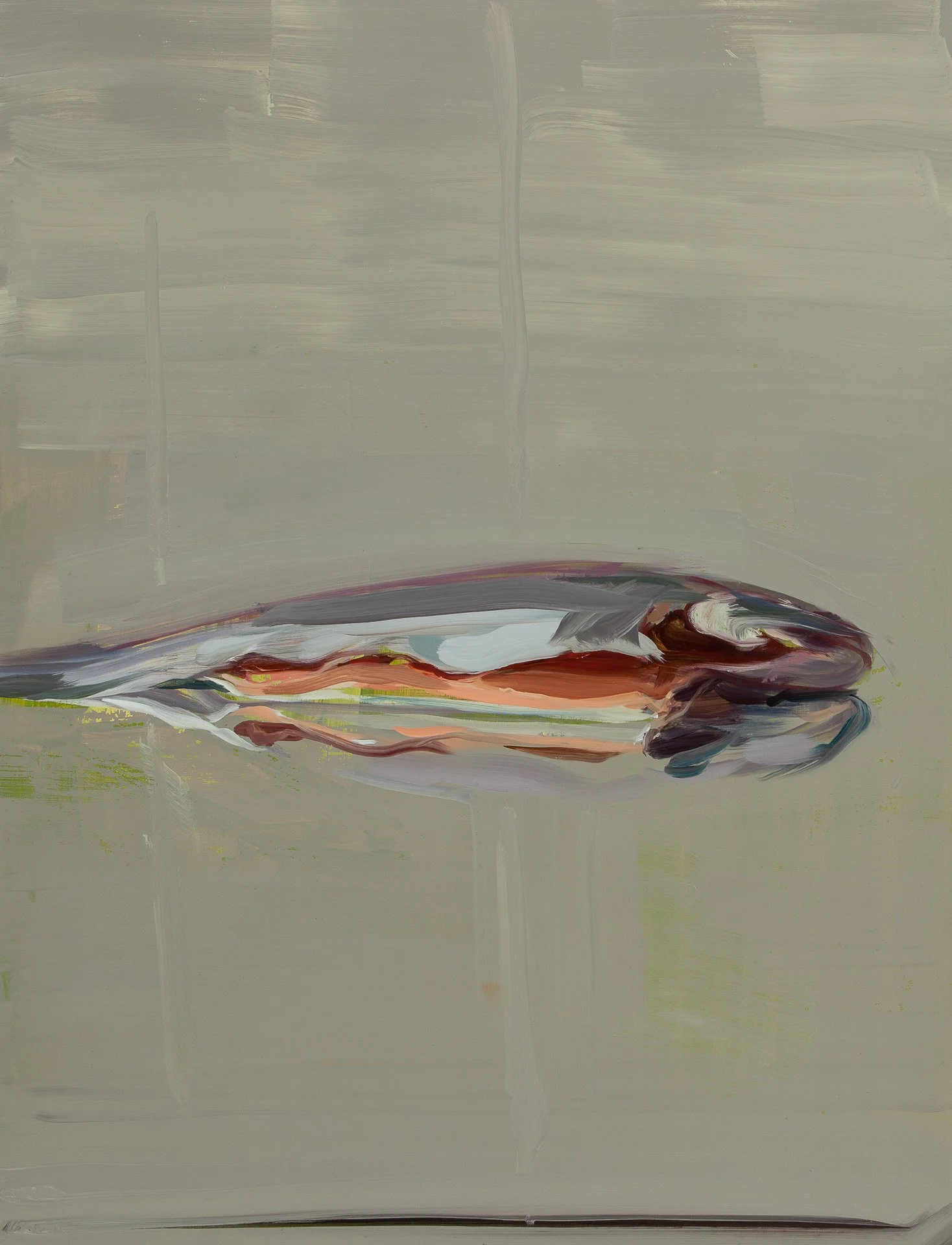 Fish III, 2015, oil on aluminium, 65 x 50cm