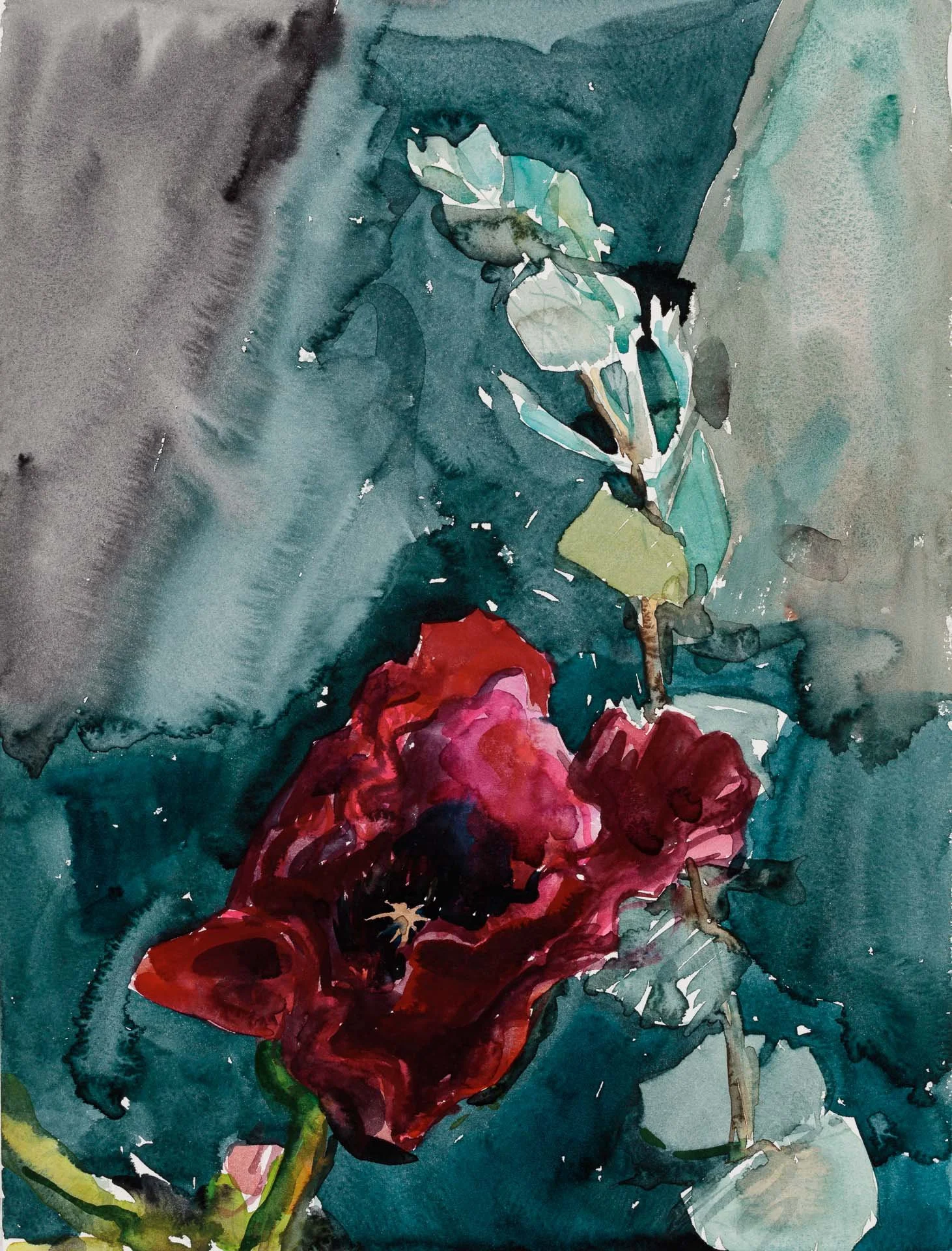 Poppy, 2020, watercolour on paper, 41 x 31cm
