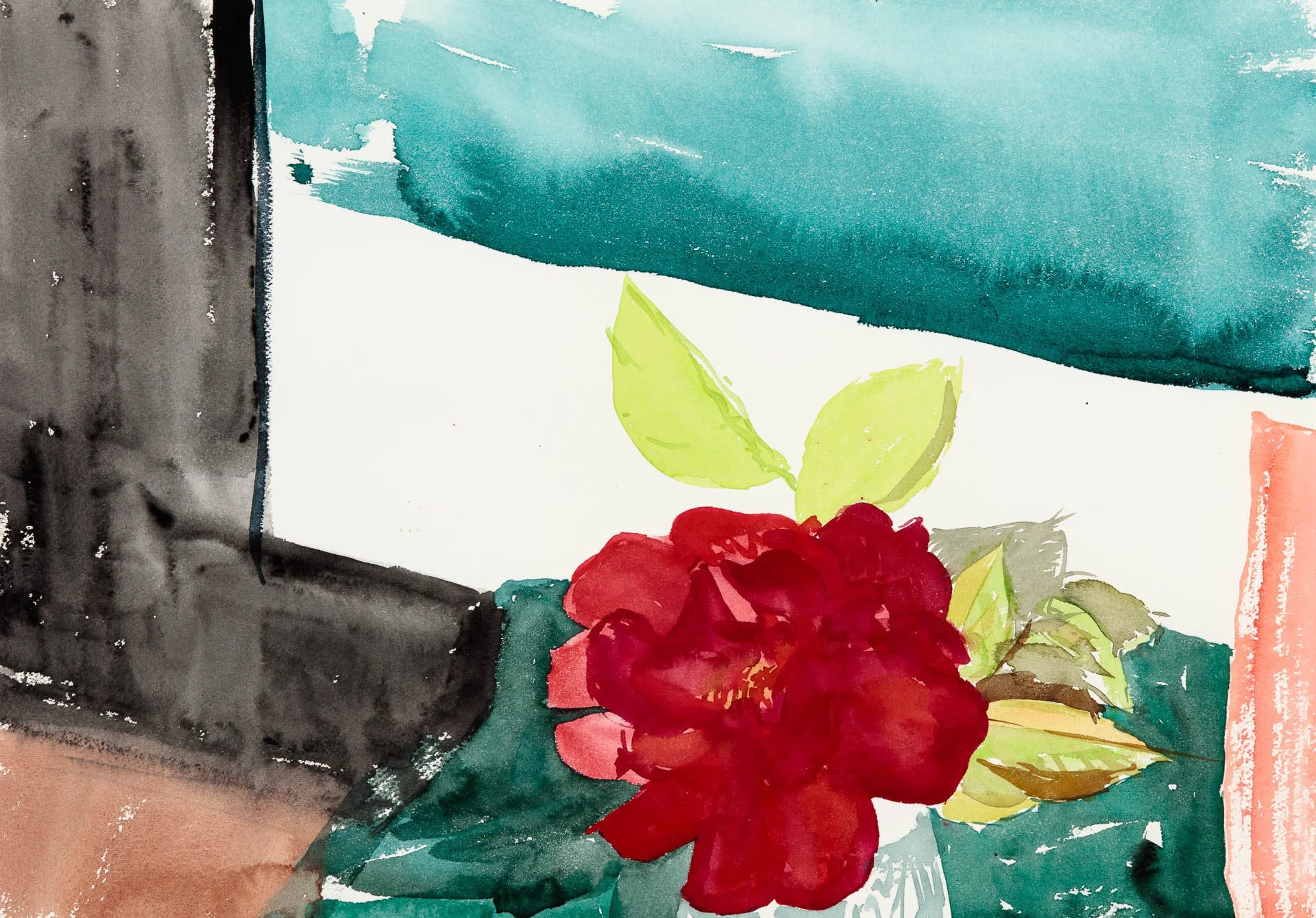 Backlit Rose, 2020, watercolour on paper, 31 x 41cm