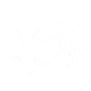 Abstract black and white graphic with curved lines and shapes