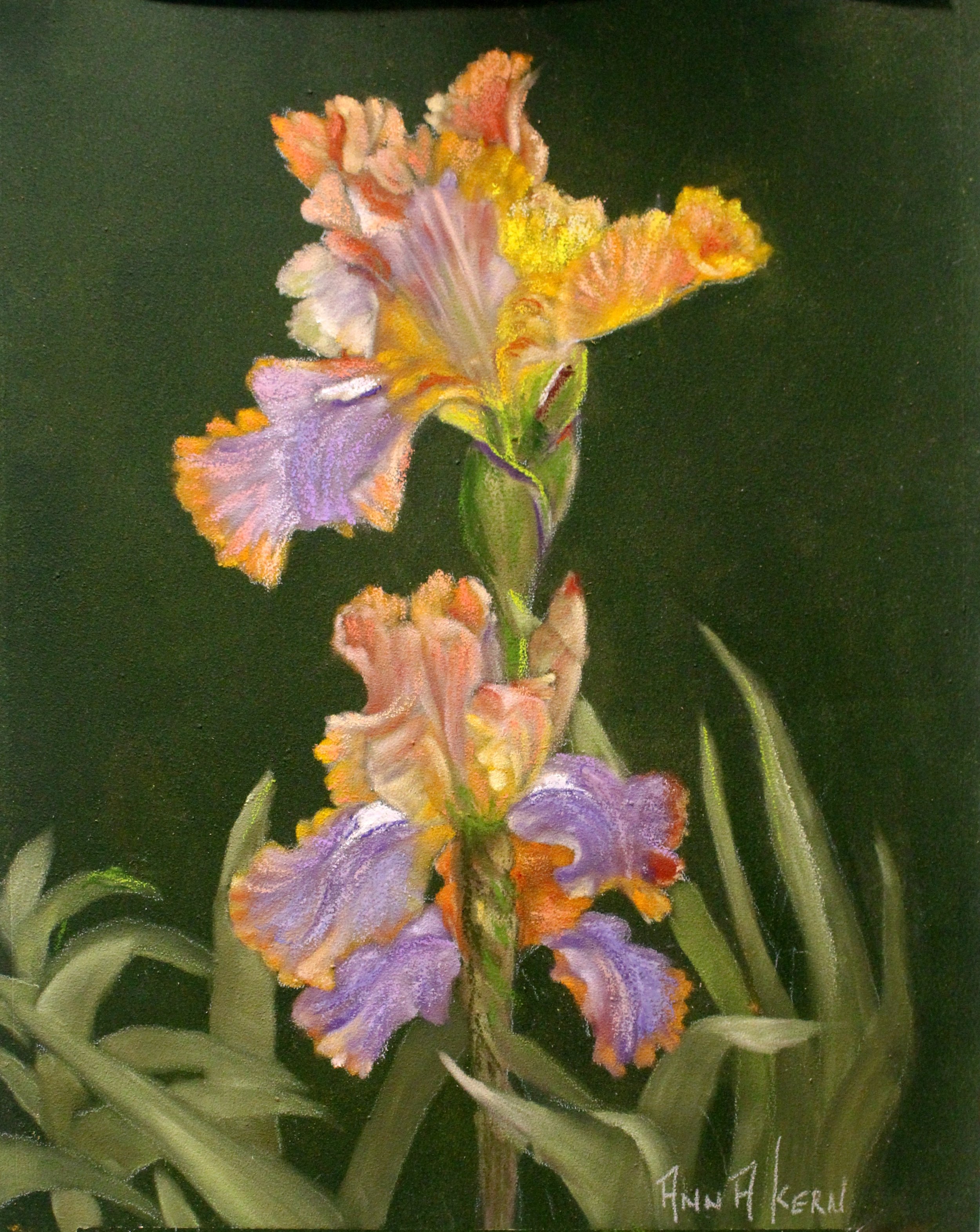 Lillies in Pastel I