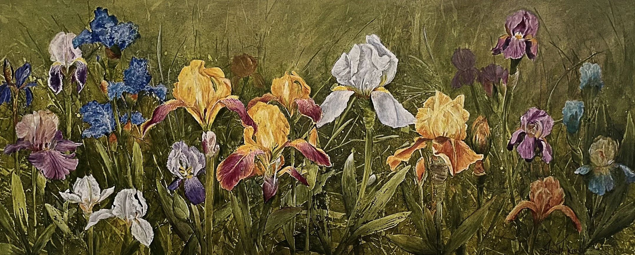 Field of Dreams