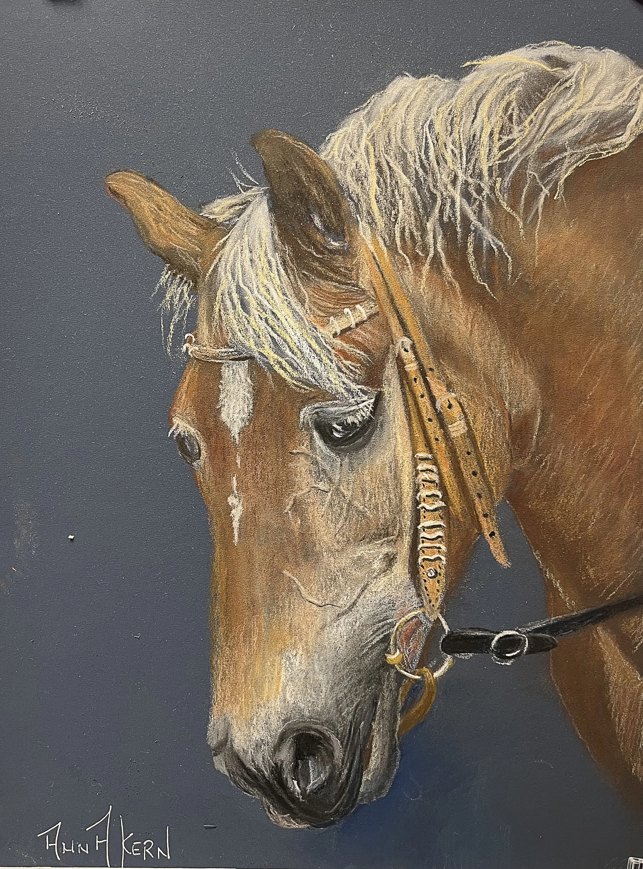 Copy of sophie-org copie.jpg