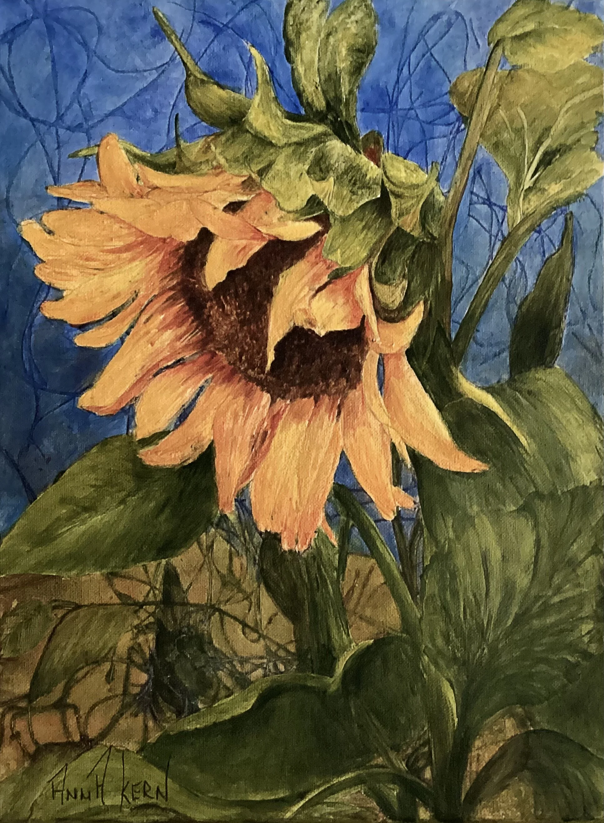 Copy of sunny-org copie.jpg