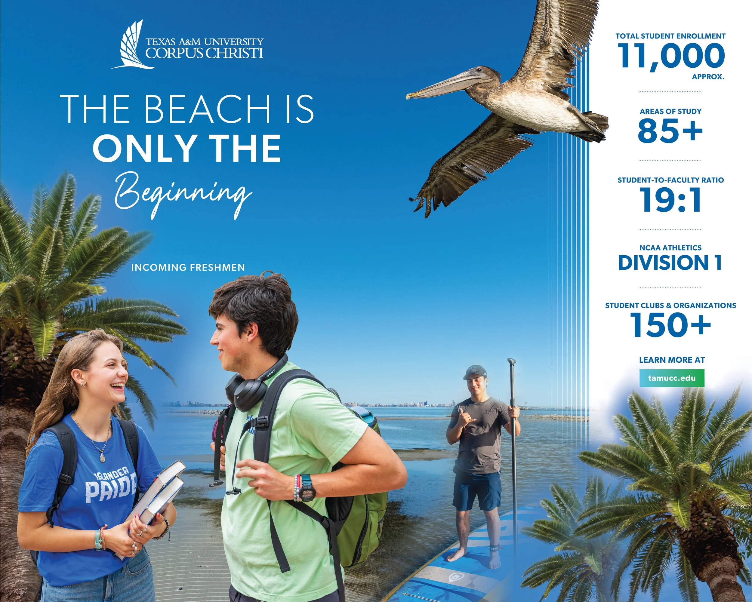 College Fair Brochure