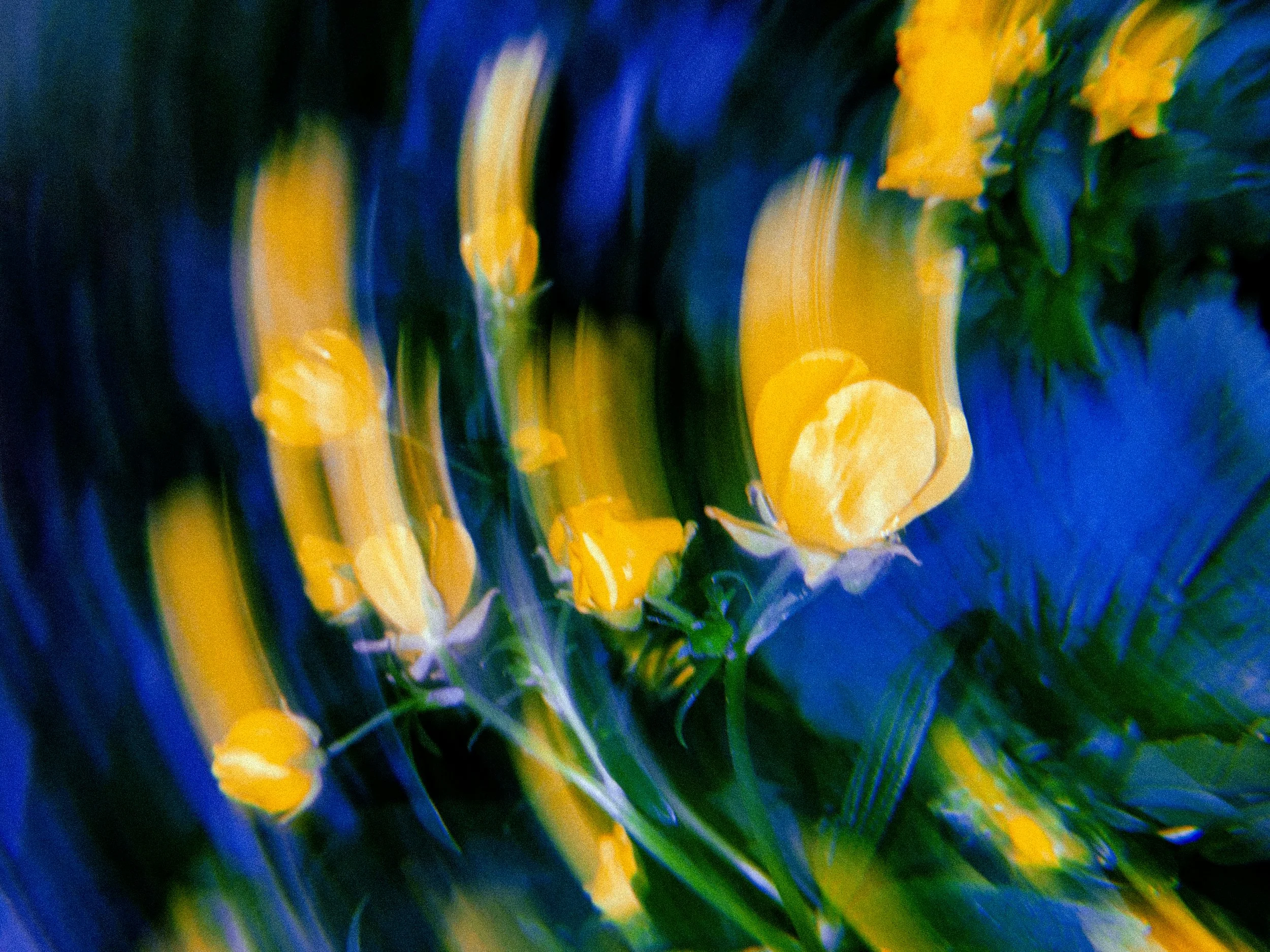 2025-03-22 00:23:39.689 2.JPG