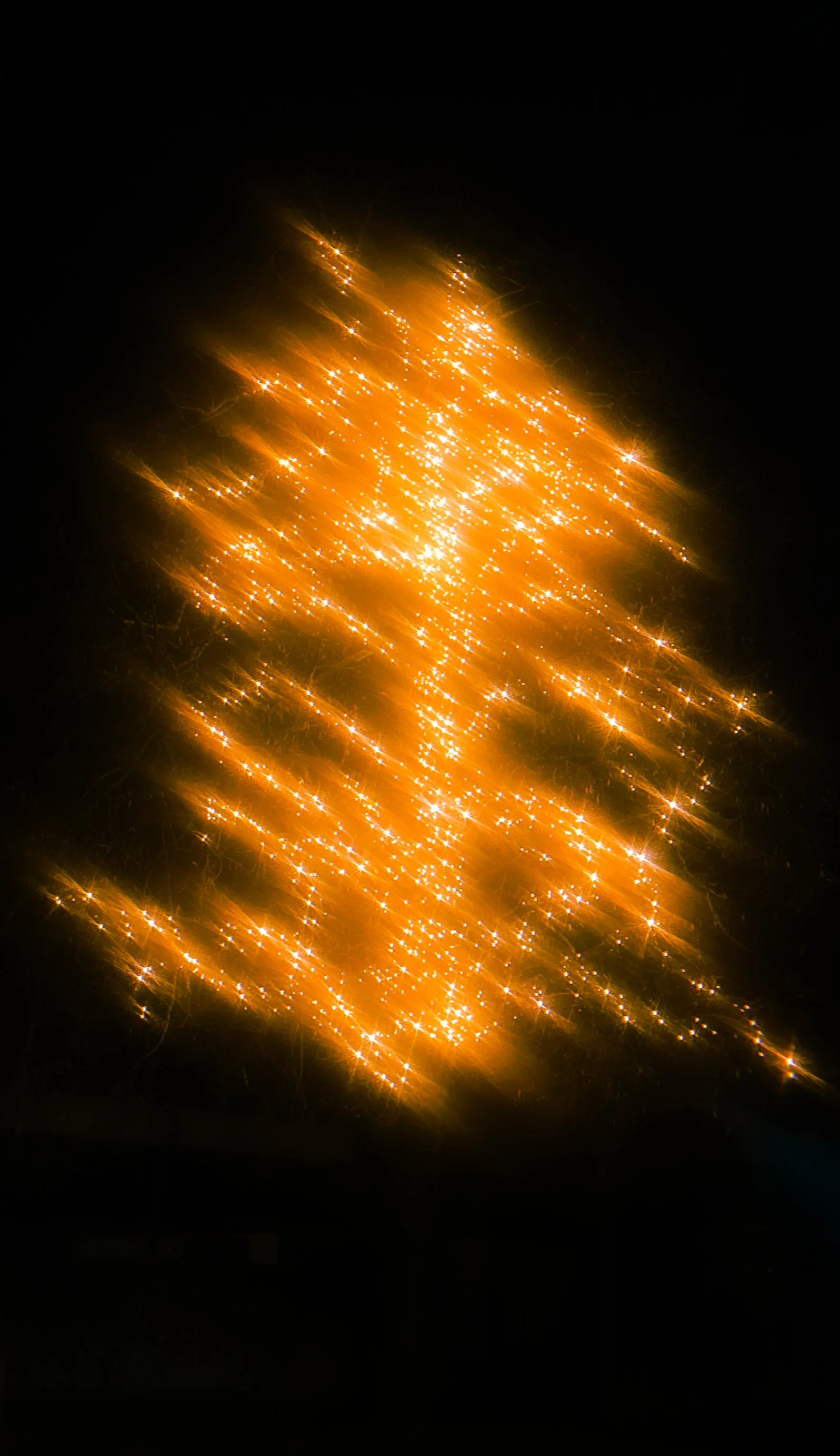 2024-12-15 02:29:55.804.JPG