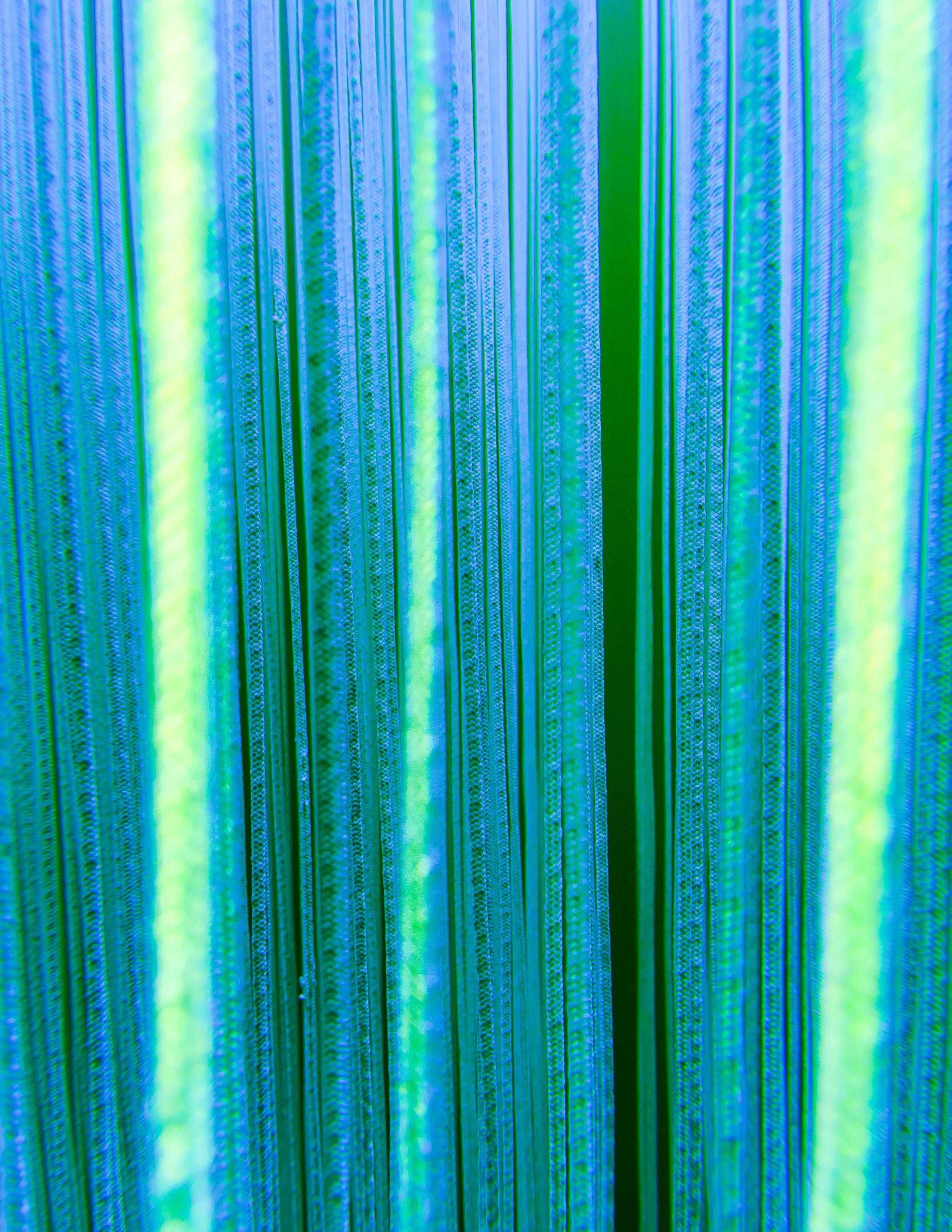 2024-01-08 19:32:13.849.JPG