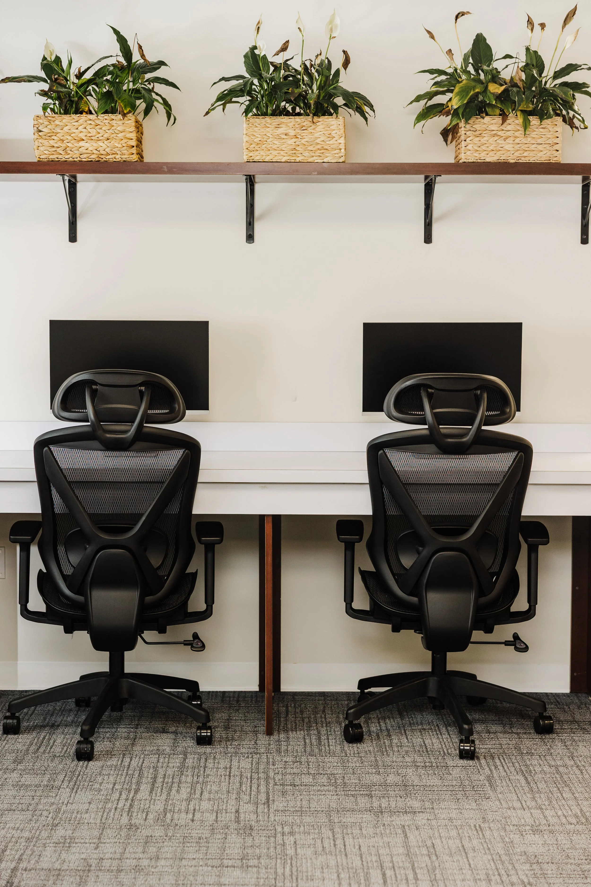 Two black ergonomic office chairs facing computer monitors in an office workspace with a white desk and a shelf with potted plants above.