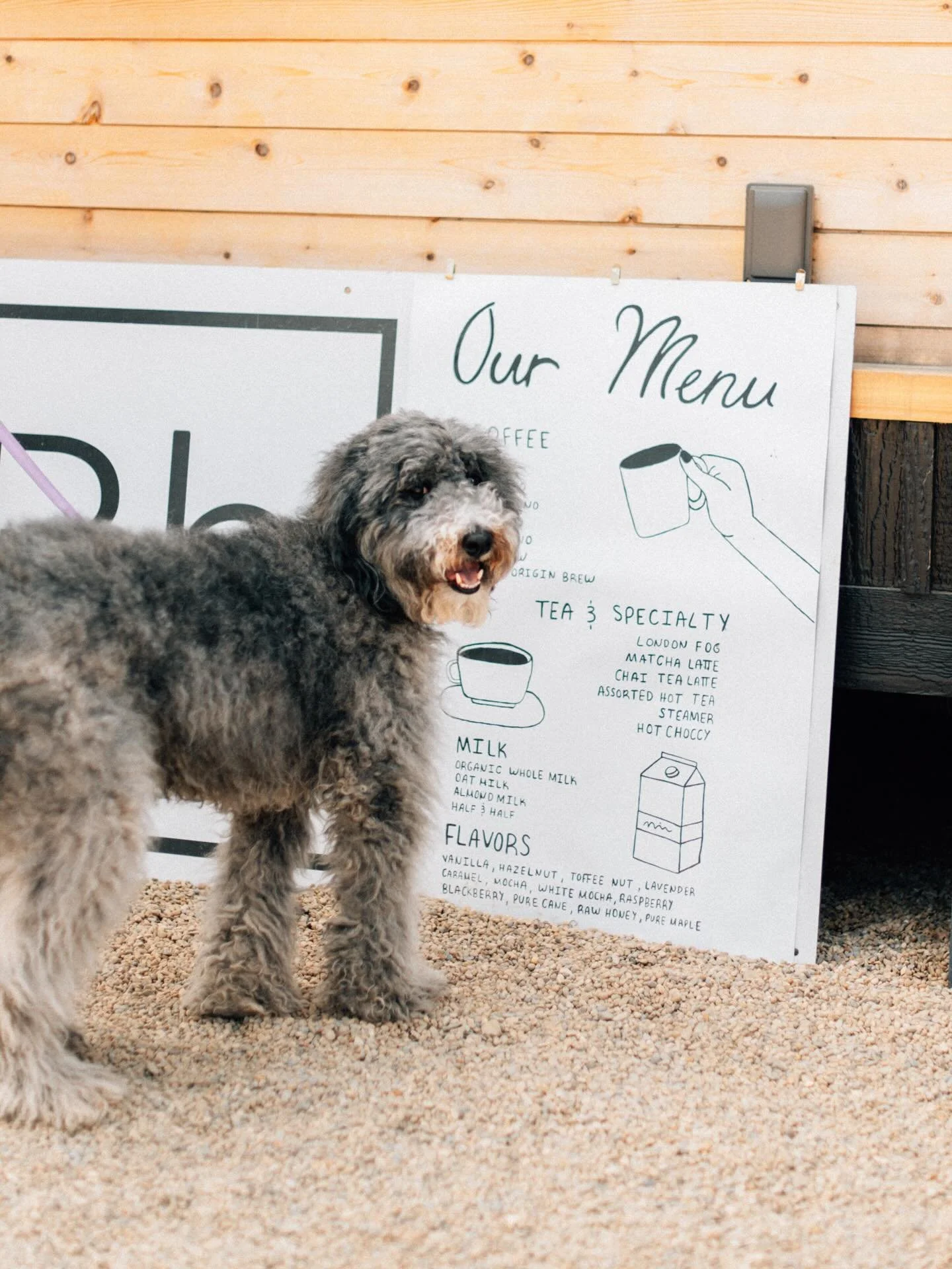 The warm weather is bringing out all the pups and we are loving it! Stop by and treat your four-legged friend to a pup cup (they definitely know their order by now 😉). Don&rsquo;t forget to tag us in your pics so we can see all our adorable visitors