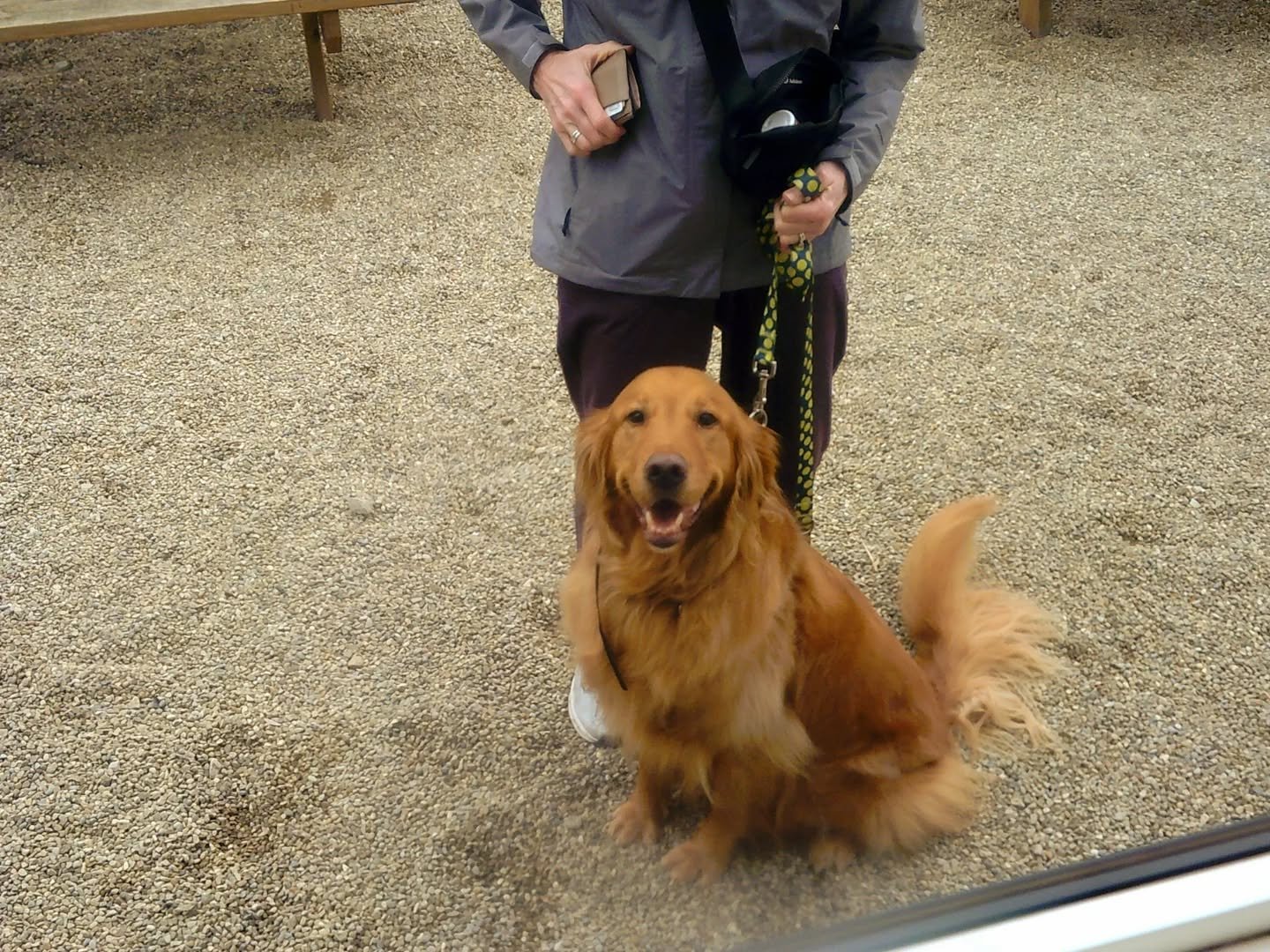 🐕🙂☕⛅🍪🍊