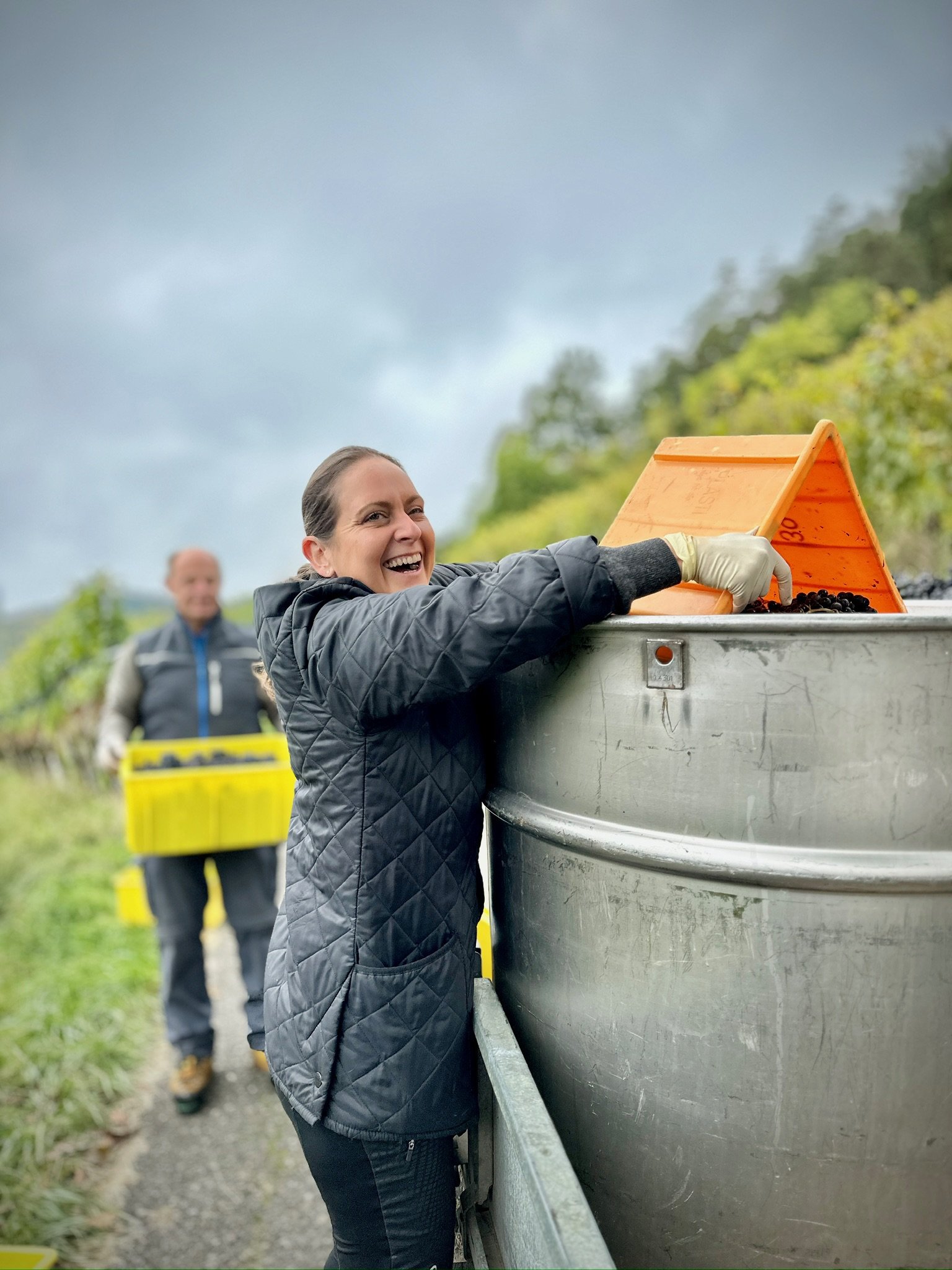 Joëlle Gautier erntet Trauben in einer Weinberg, während sie Trauben aus einer Kiste in die Stande füllt.