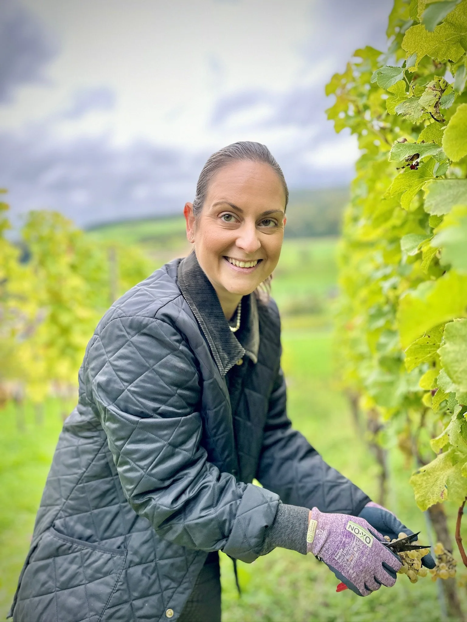 Bei der Weinlese im letzen Herbst.