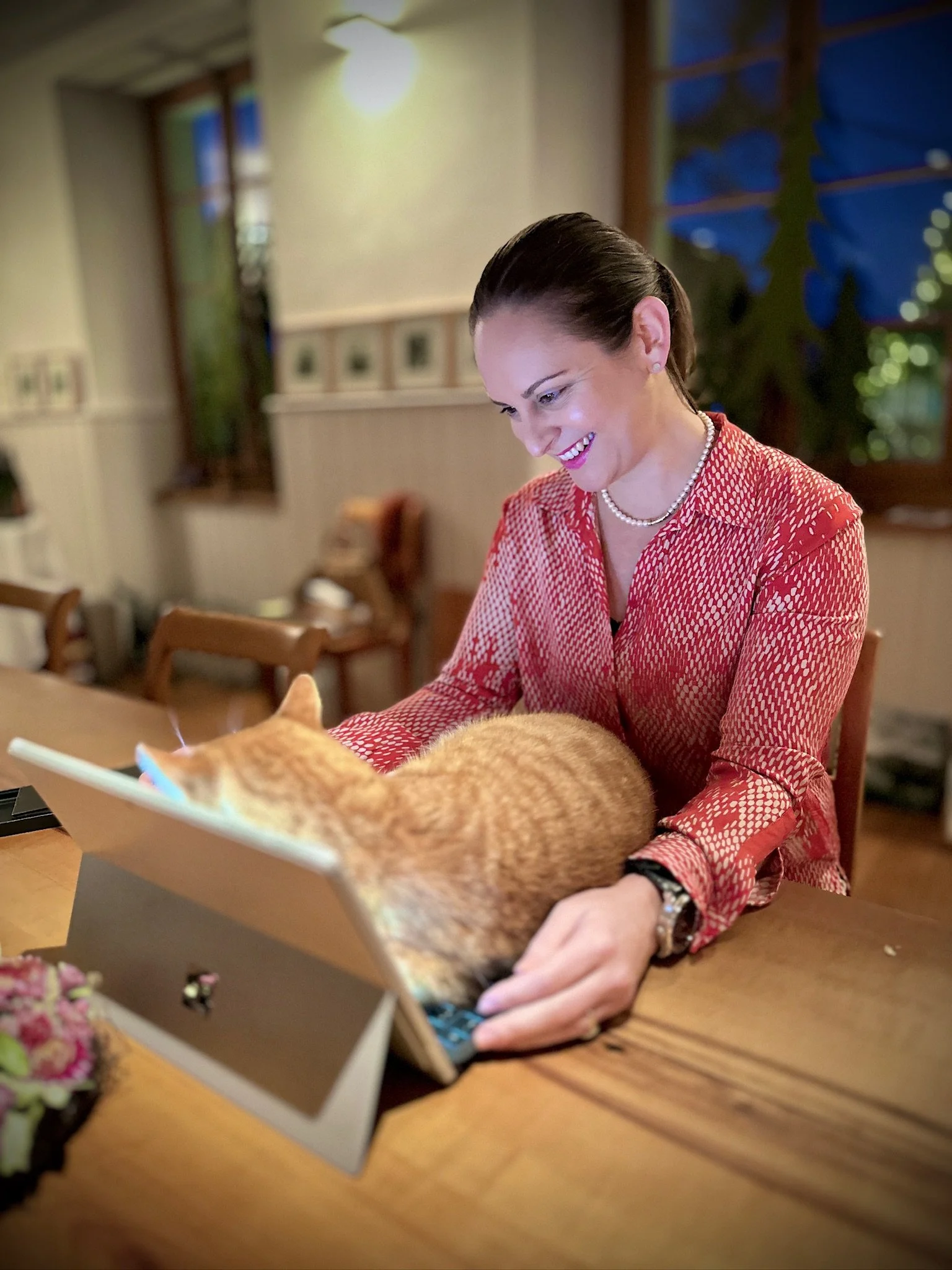 Zusammen mit unserem Kater bei der Arbeit am Laptop.