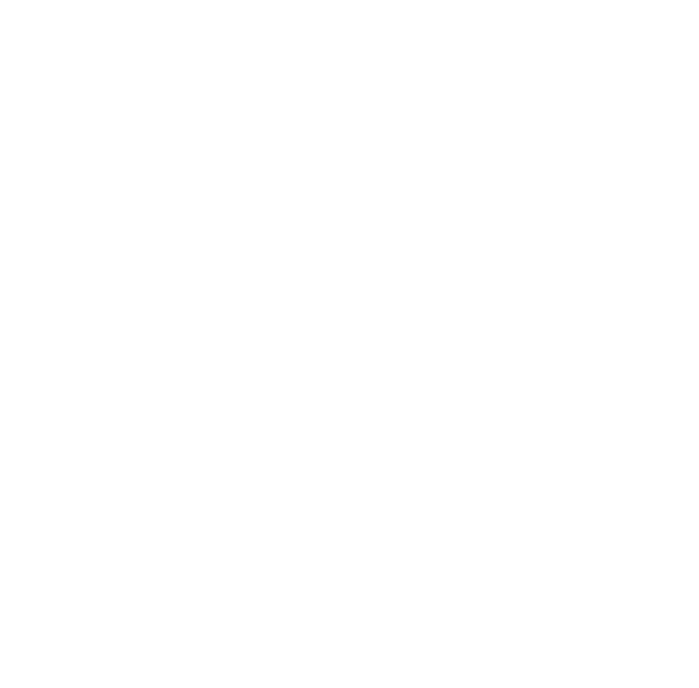 Alsa Cyclo Tours logo white