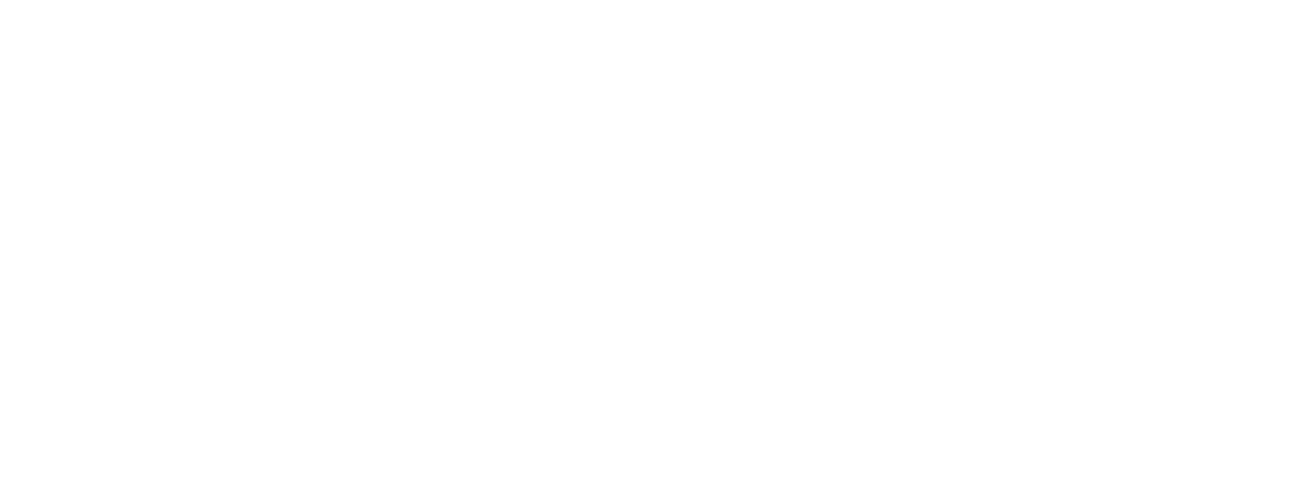 Busmiete CH logo white