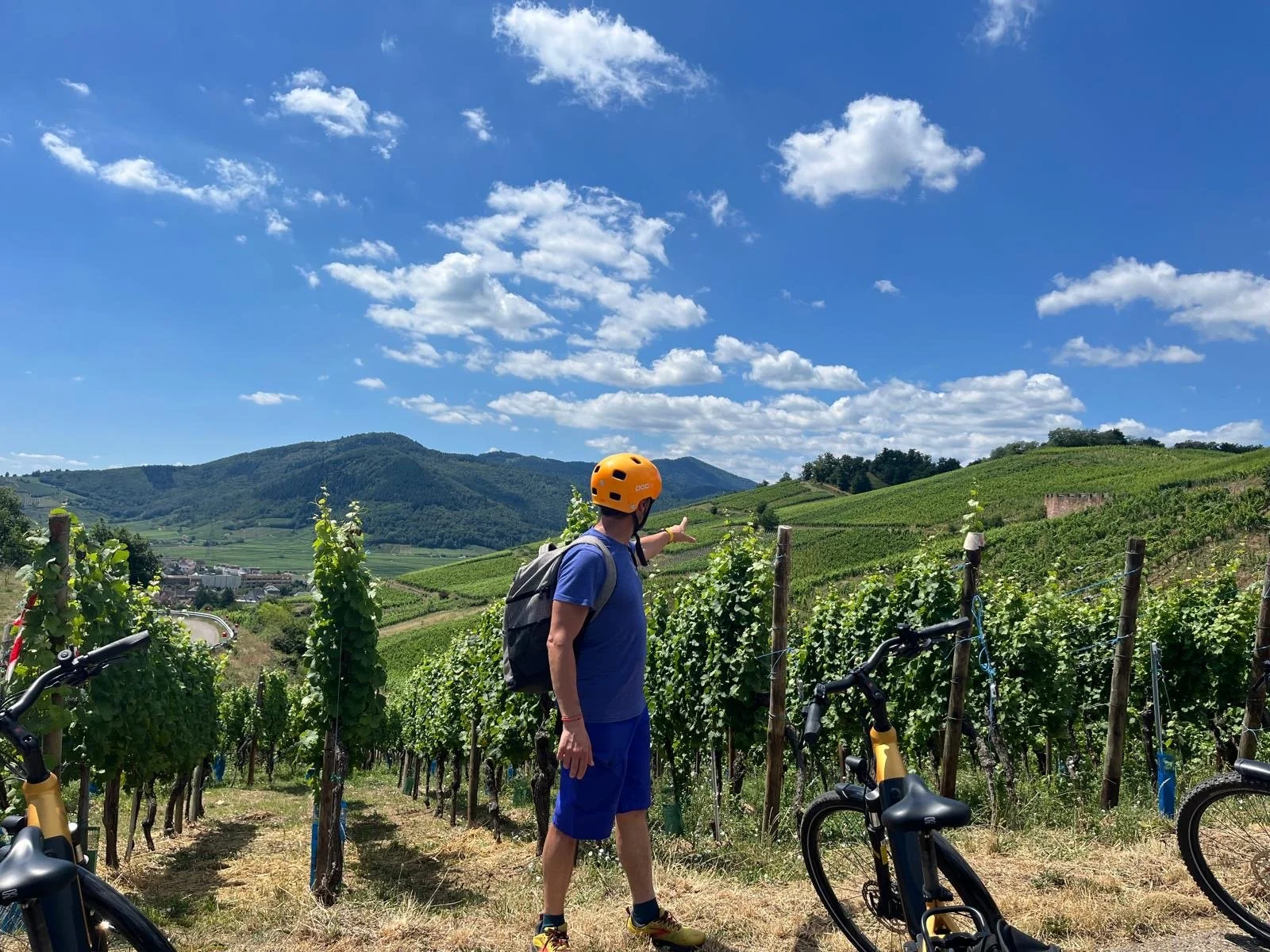 Alsace Grand Cru Wines, Food & Culture