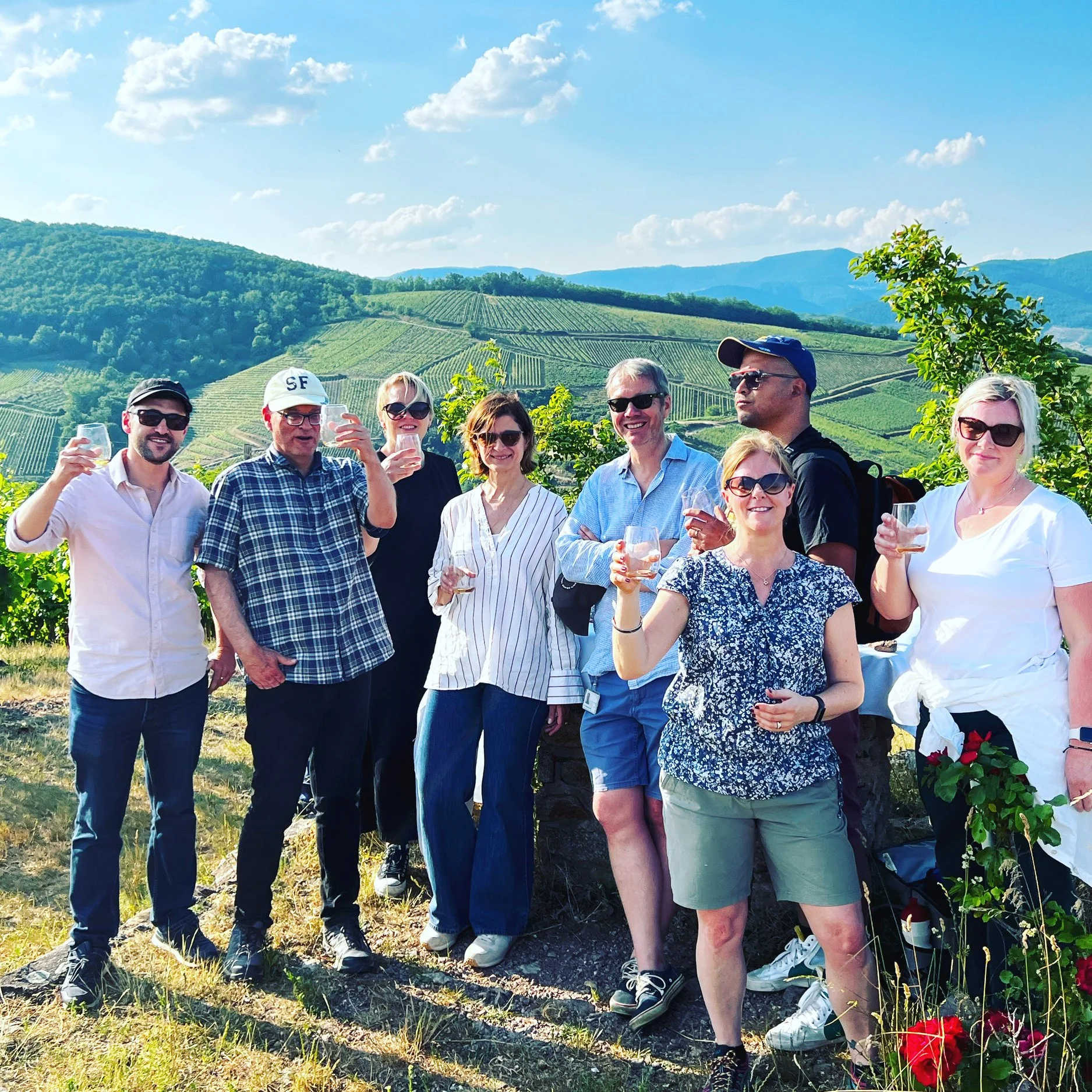 A group of nine people standing outdoors in a vineyard, holding glasses of wine, with rolling vineyards and hills in the background.