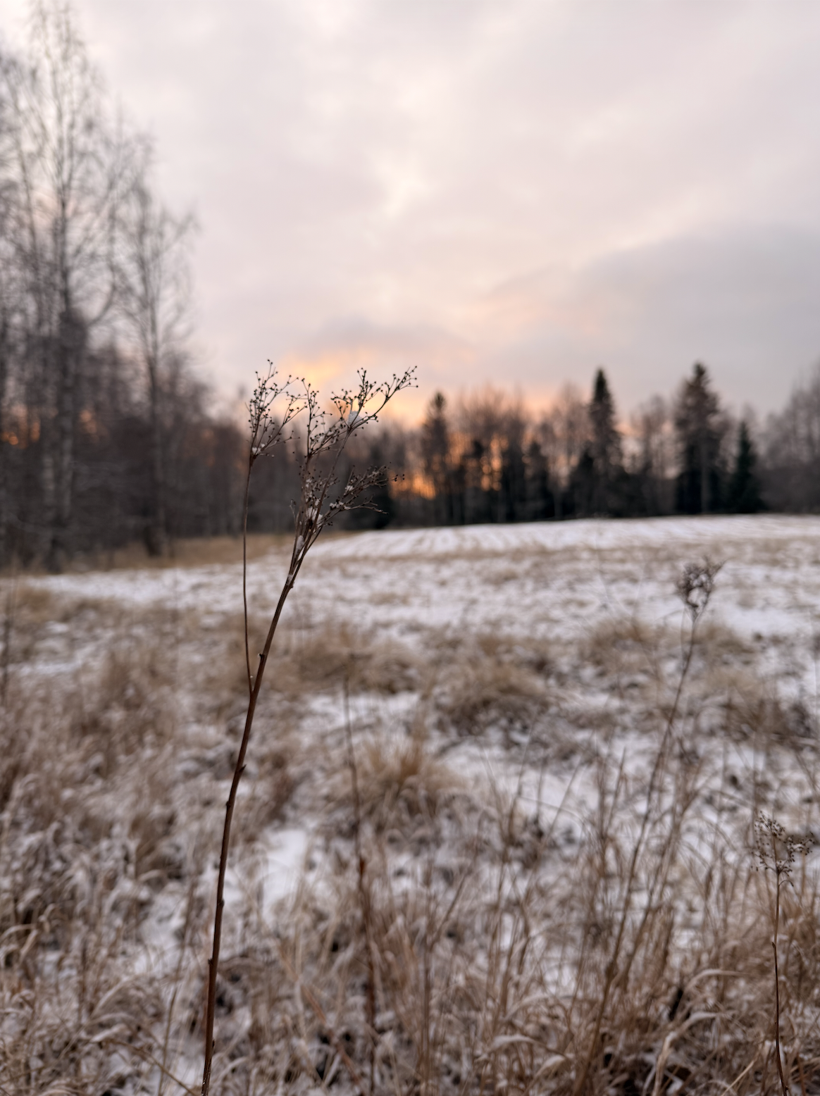 Min väg till Reiki - när kroppen fick möjlighet att hitta tillbaka till balans