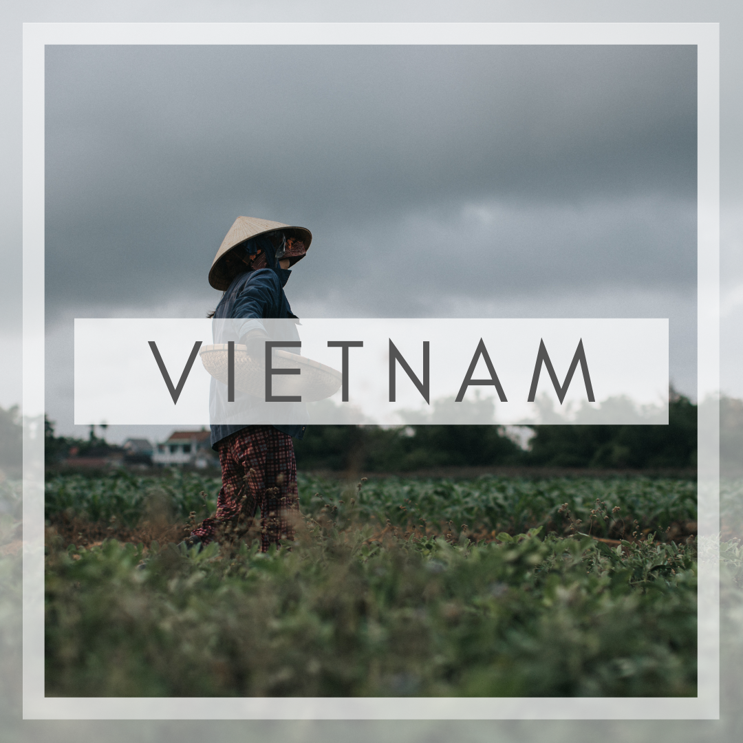 [2979] Ignite Hub Hanoi