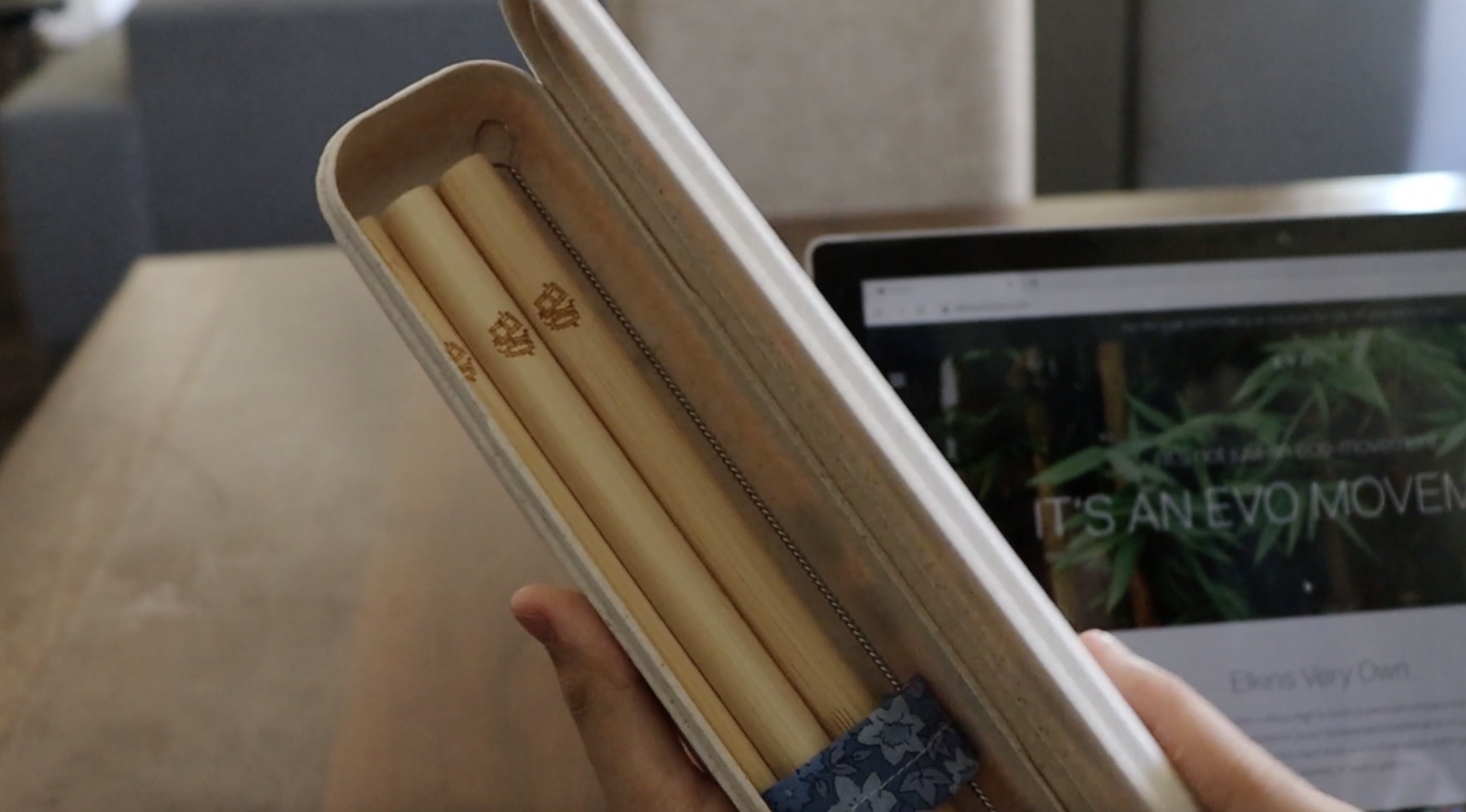 Team Evo: Eco-Friendly Straws