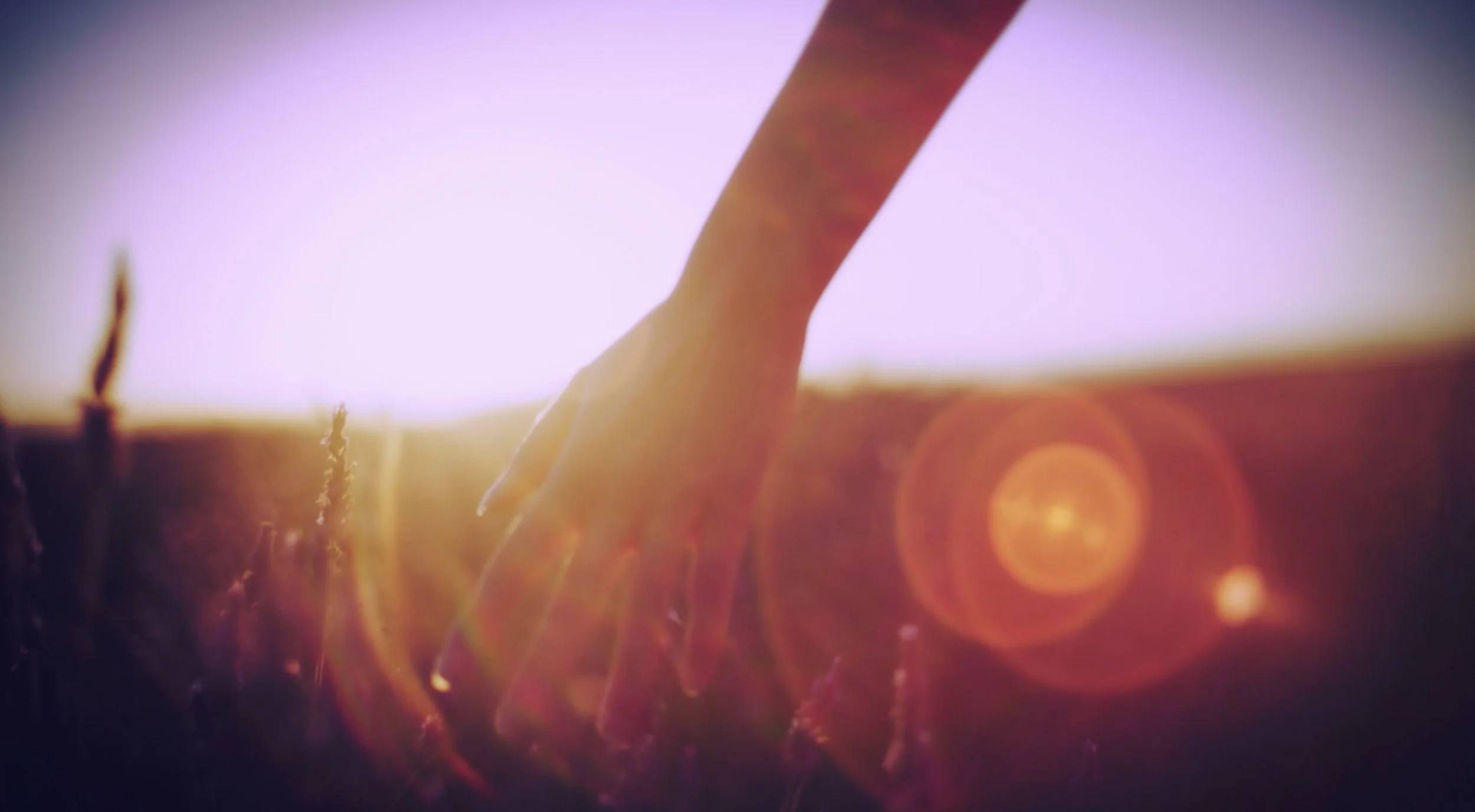 Nova Scotia holistic and natural facials.jpeg