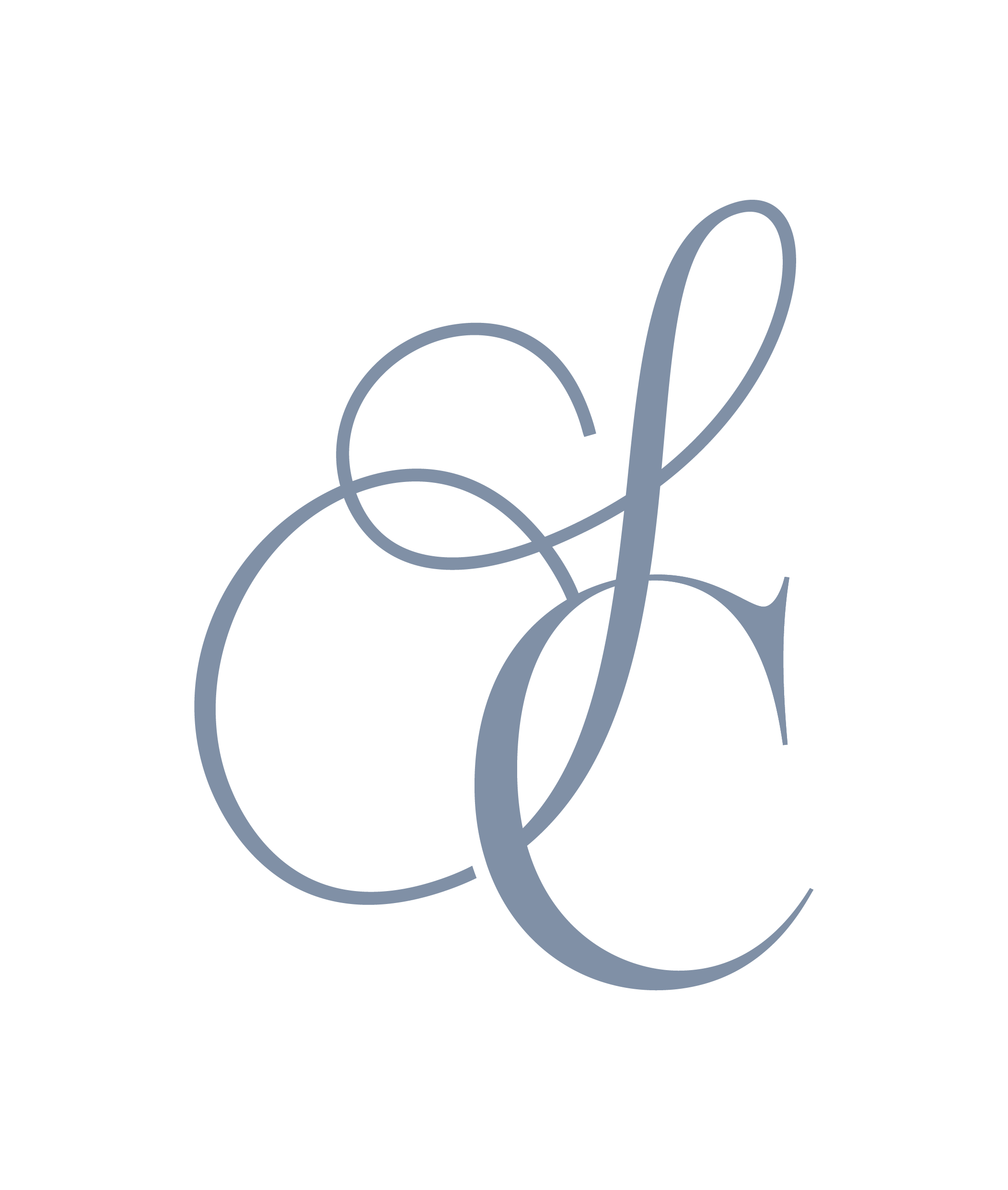 Shannon Chappelle Logo